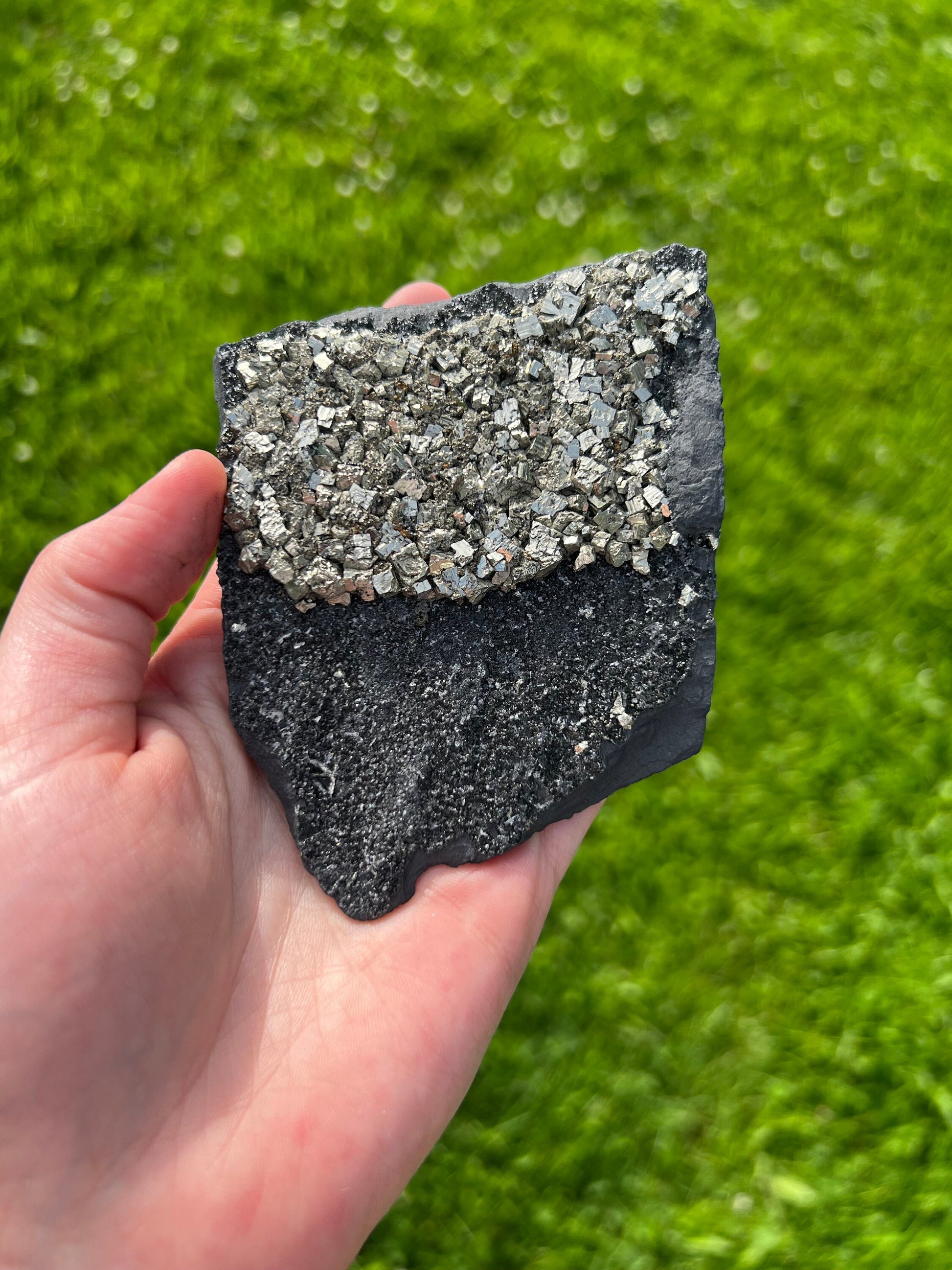 Pyrite on Basalt Crystal Specimen Rare Find Specialty Crystal Collectors Item Gift box Gift basket Natural Gemstones High Grade