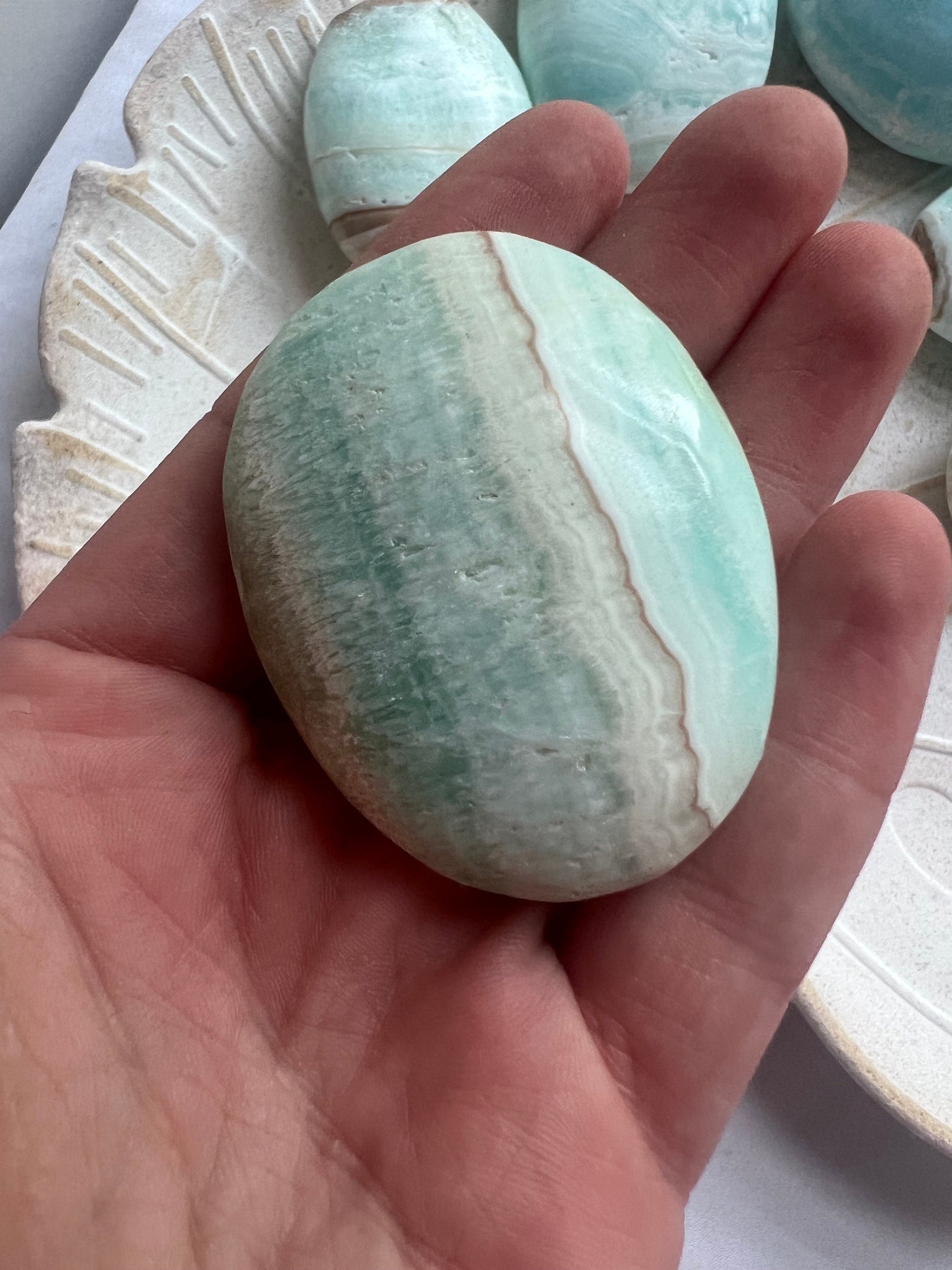 High Quality Caribbean Calcite Palm Stone Carribean Calcite Palmstone #4