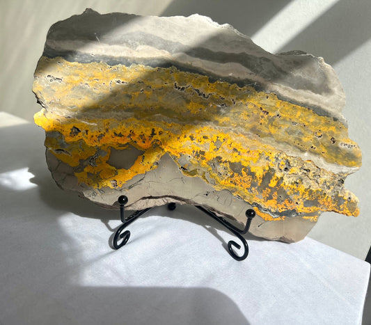 Rare Bumble bee Jasper Slab Bumblebee Jasper Slice