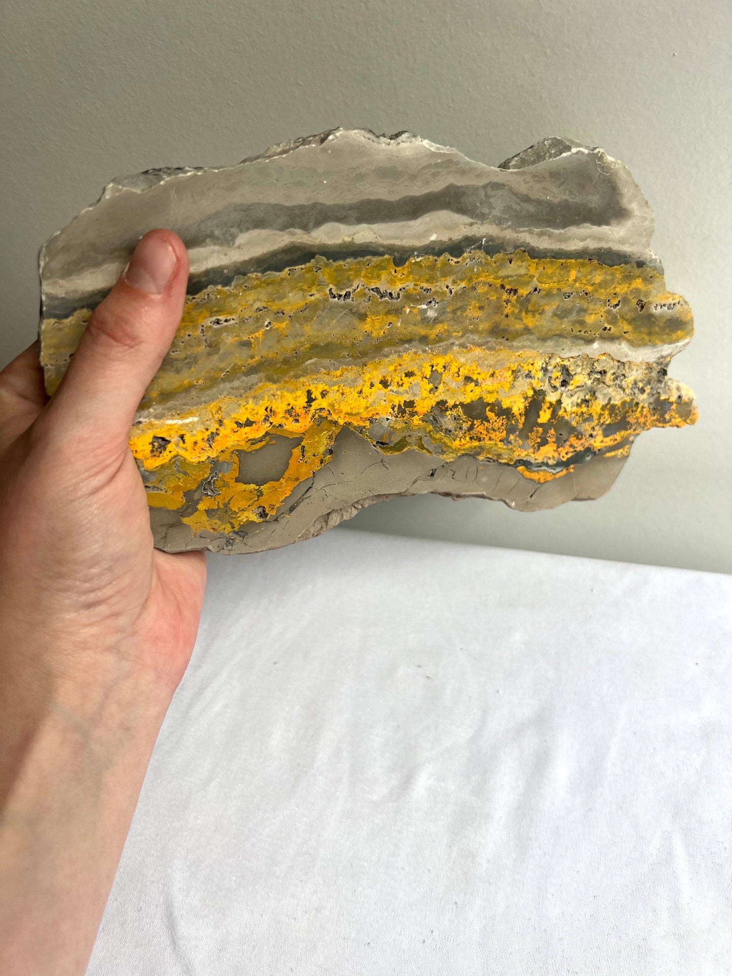 Rare Bumble bee Jasper Slab Bumblebee Jasper Slice
