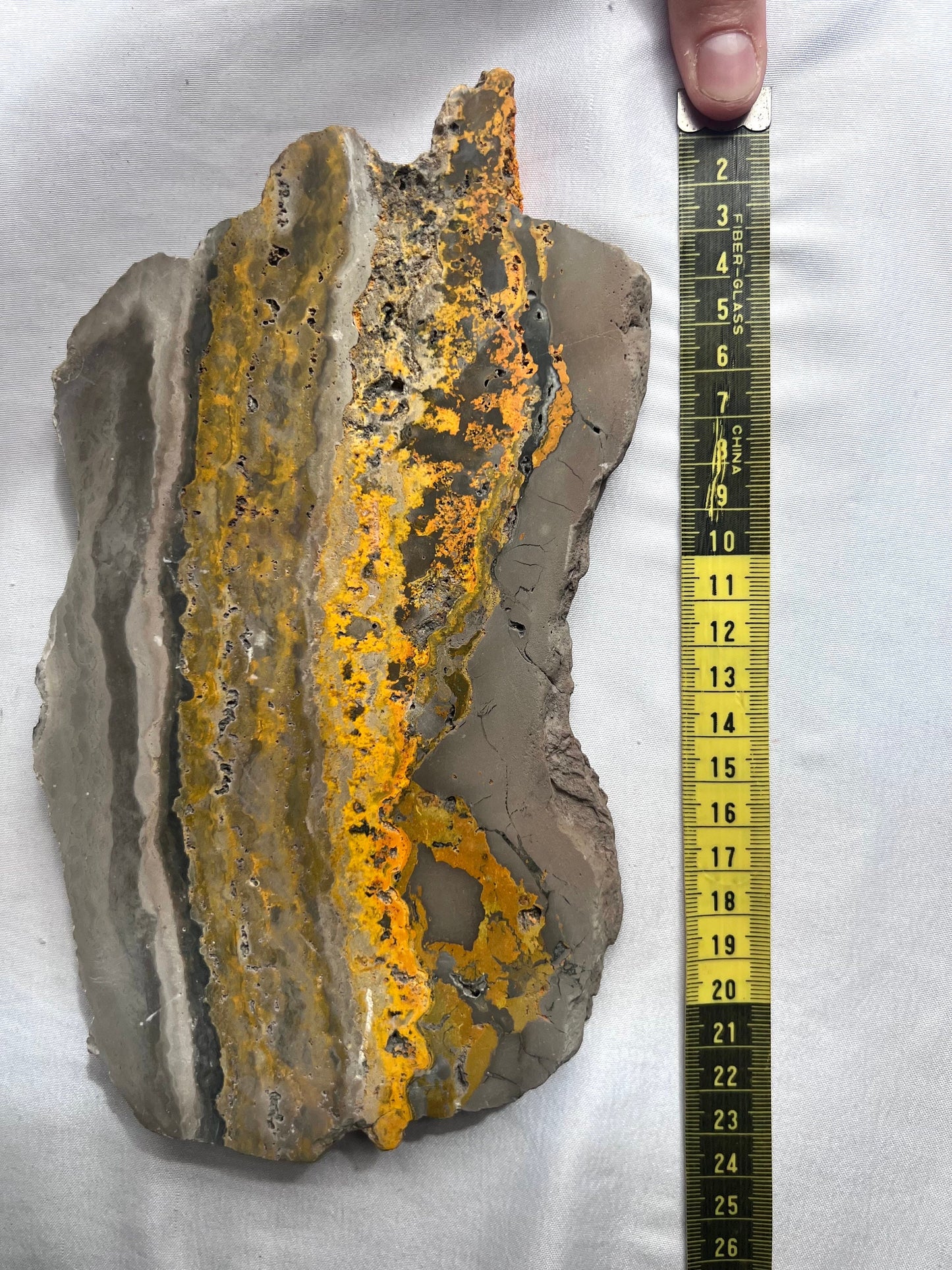 Rare Bumble bee Jasper Slab Bumblebee Jasper Slice