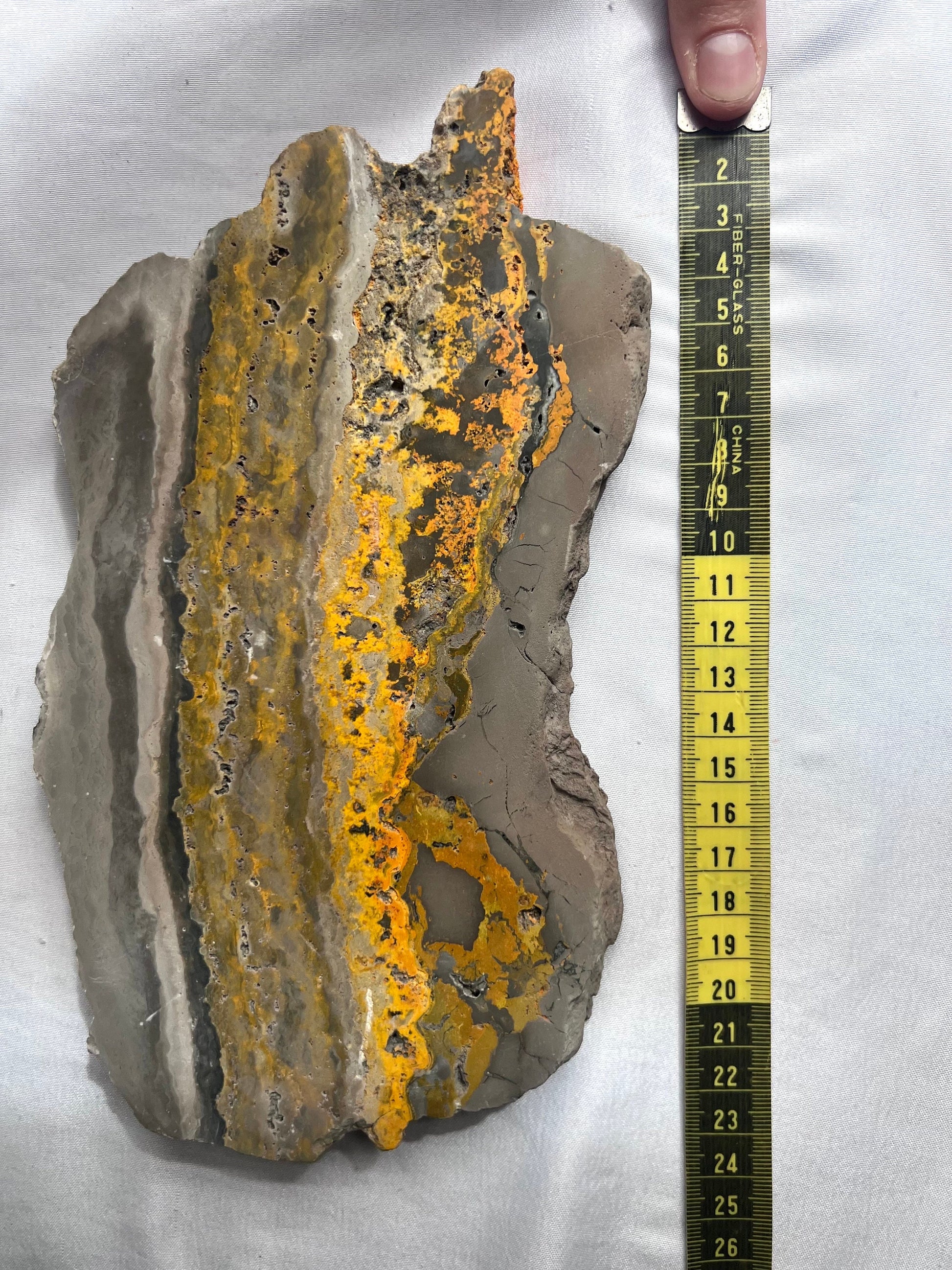 Rare Bumble bee Jasper Slab Bumblebee Jasper Slice