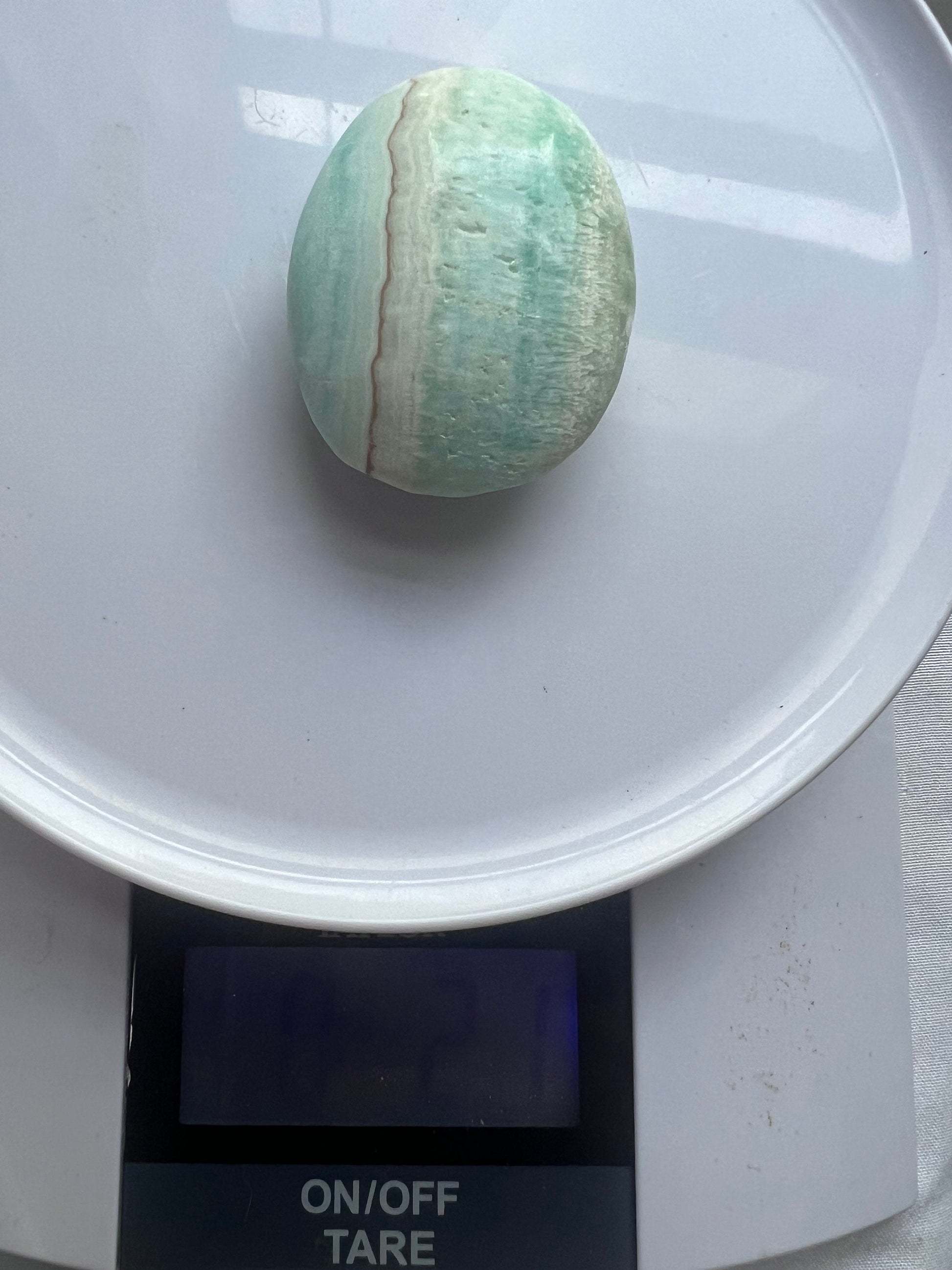 High Quality Caribbean Calcite Palm Stone Carribean Calcite Palmstone #4