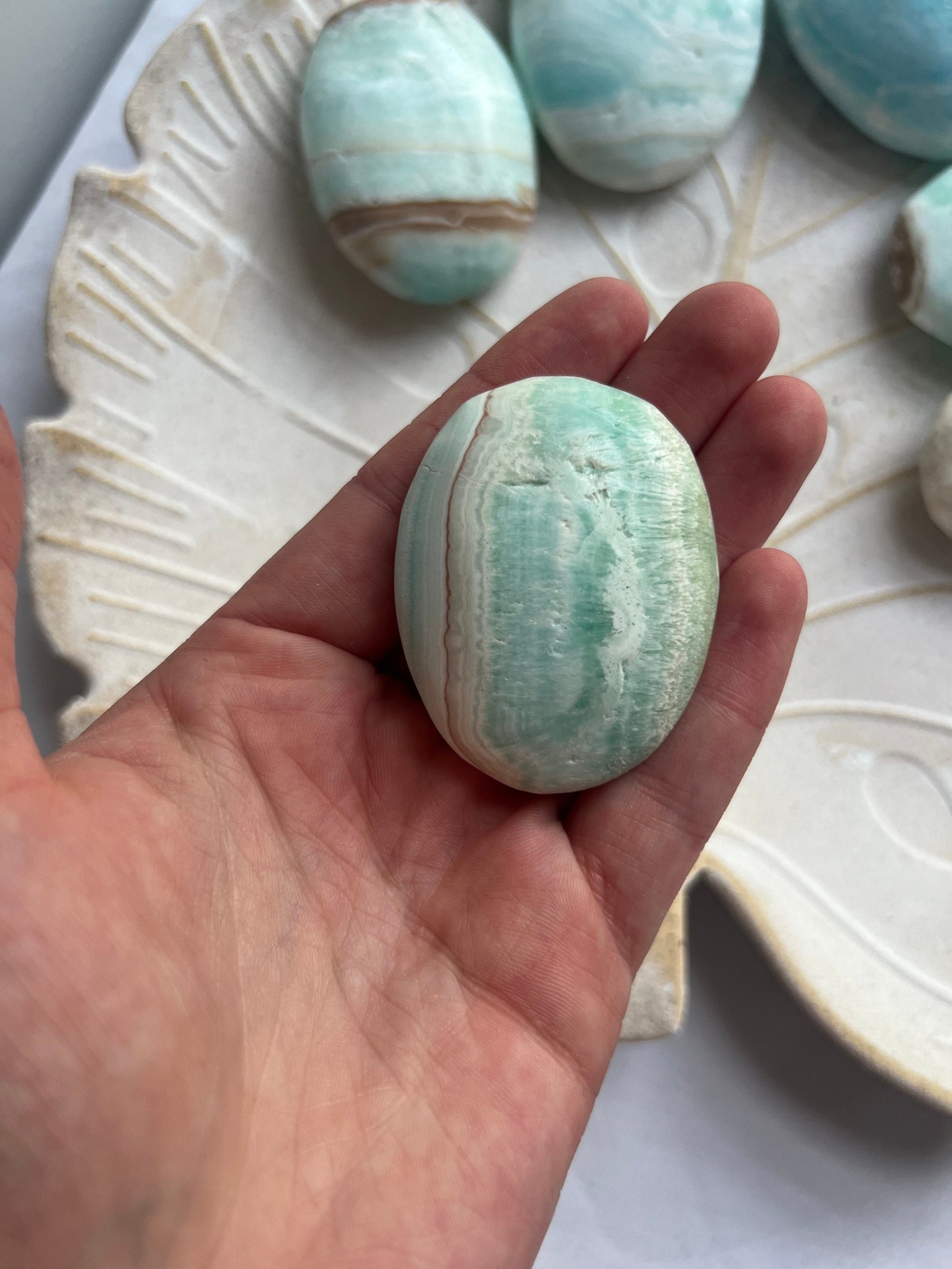 High Quality Caribbean Calcite Palm Stone Carribean Calcite Palmstone #4