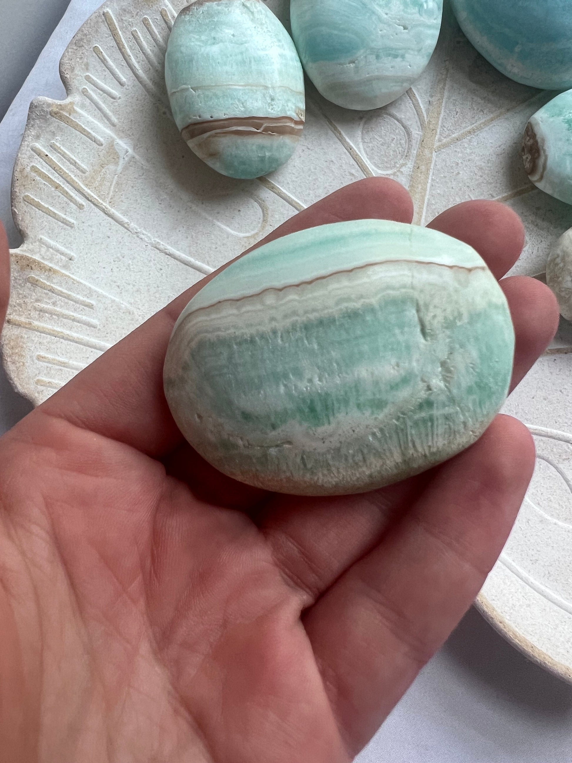 High Quality Caribbean Calcite Palm Stone Carribean Calcite Palmstone #4