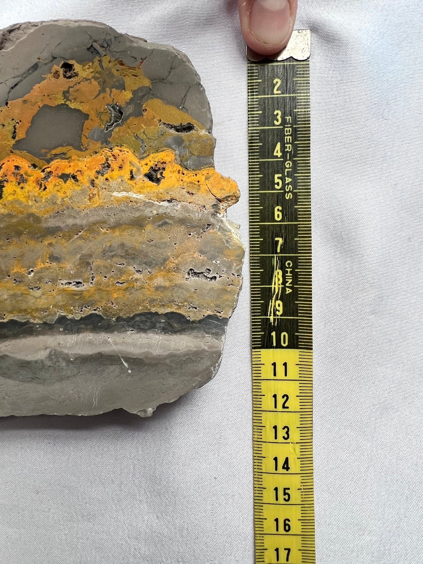Rare Bumble bee Jasper Slab Bumblebee Jasper Slice