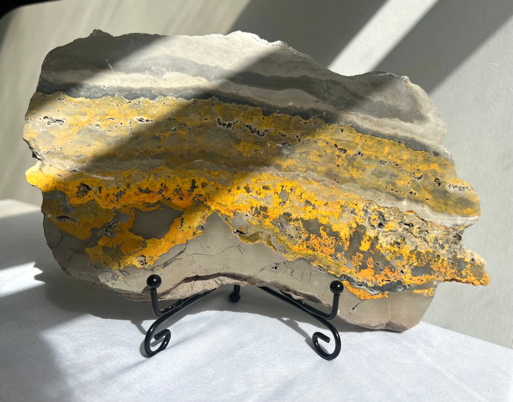 Rare Bumble bee Jasper Slab Bumblebee Jasper Slice
