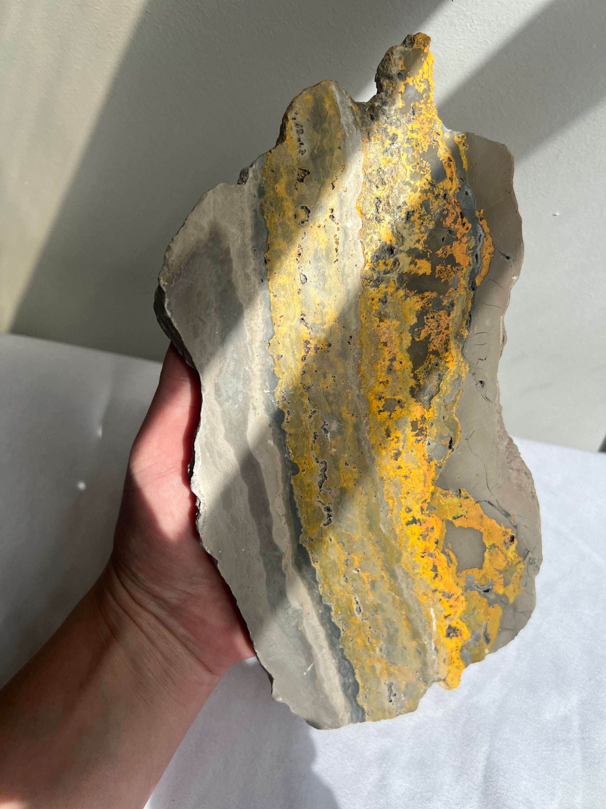 Rare Bumble bee Jasper Slab Bumblebee Jasper Slice
