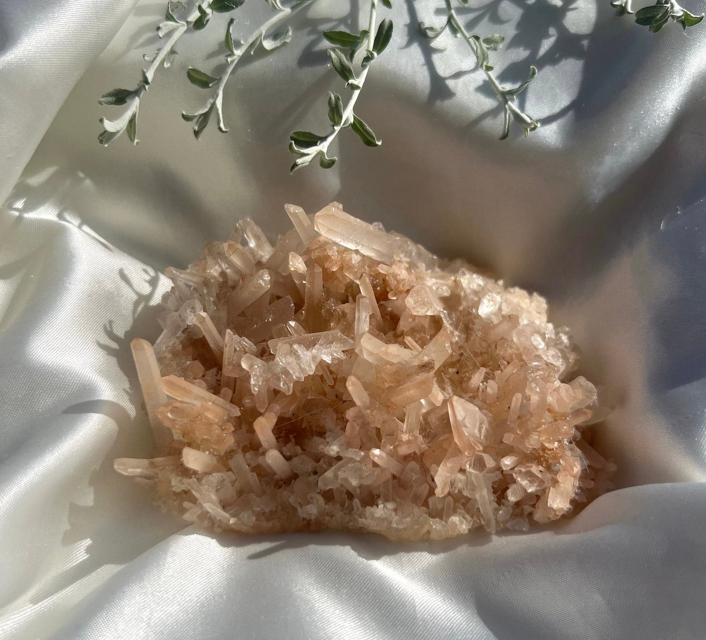 Beautiful Milky Quartz Point Cluster | Laser Point Quartz Specimen Needle Point Quartz