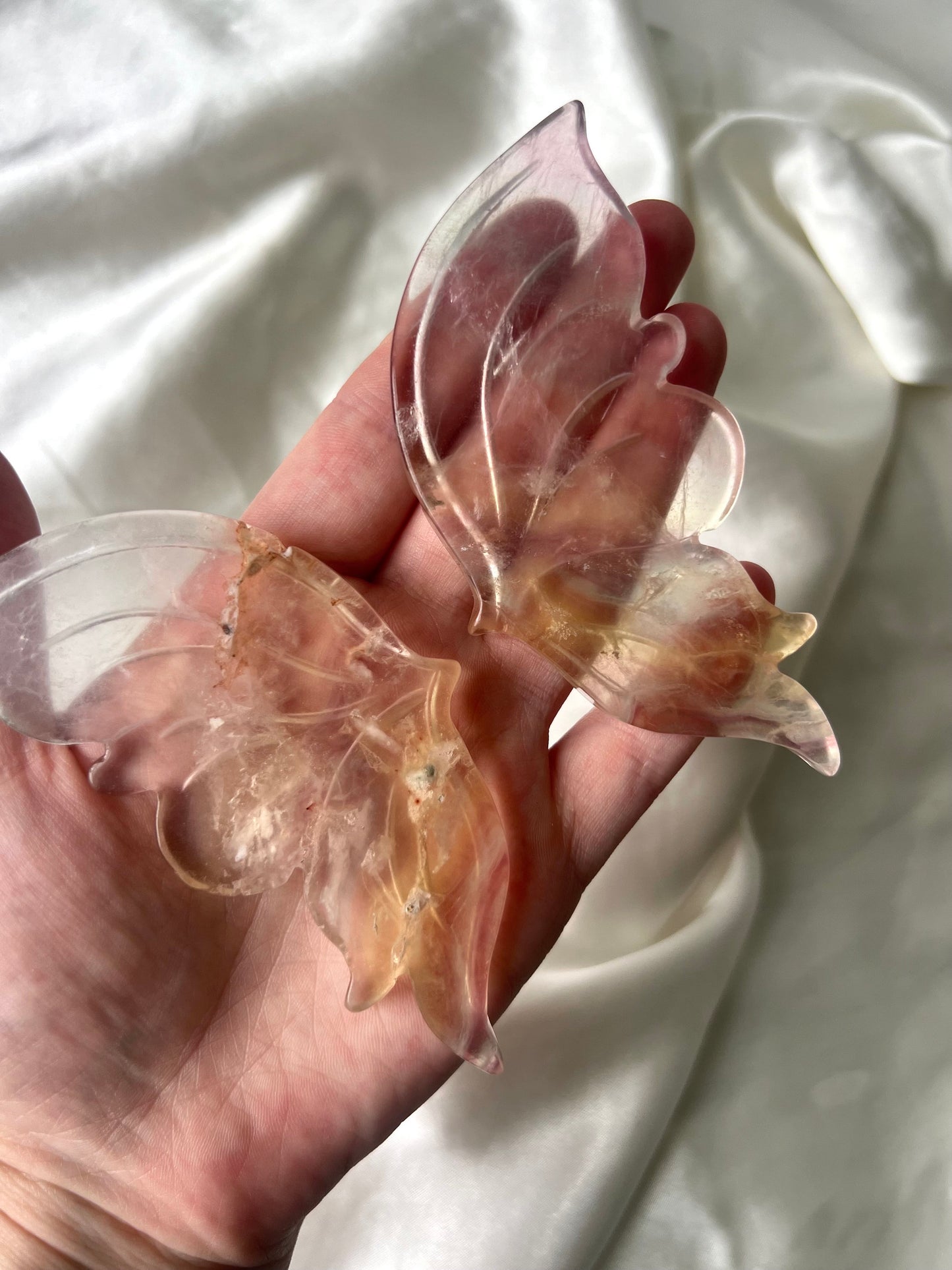 Gorgeous Transluscent Candy Fluorite Butterfly Wings with Display