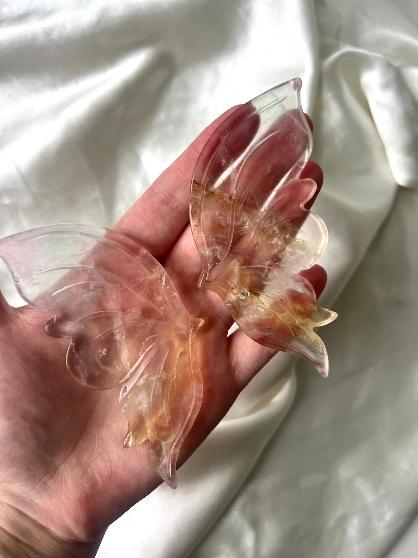 Gorgeous Transluscent Candy Fluorite Butterfly Wings with Display