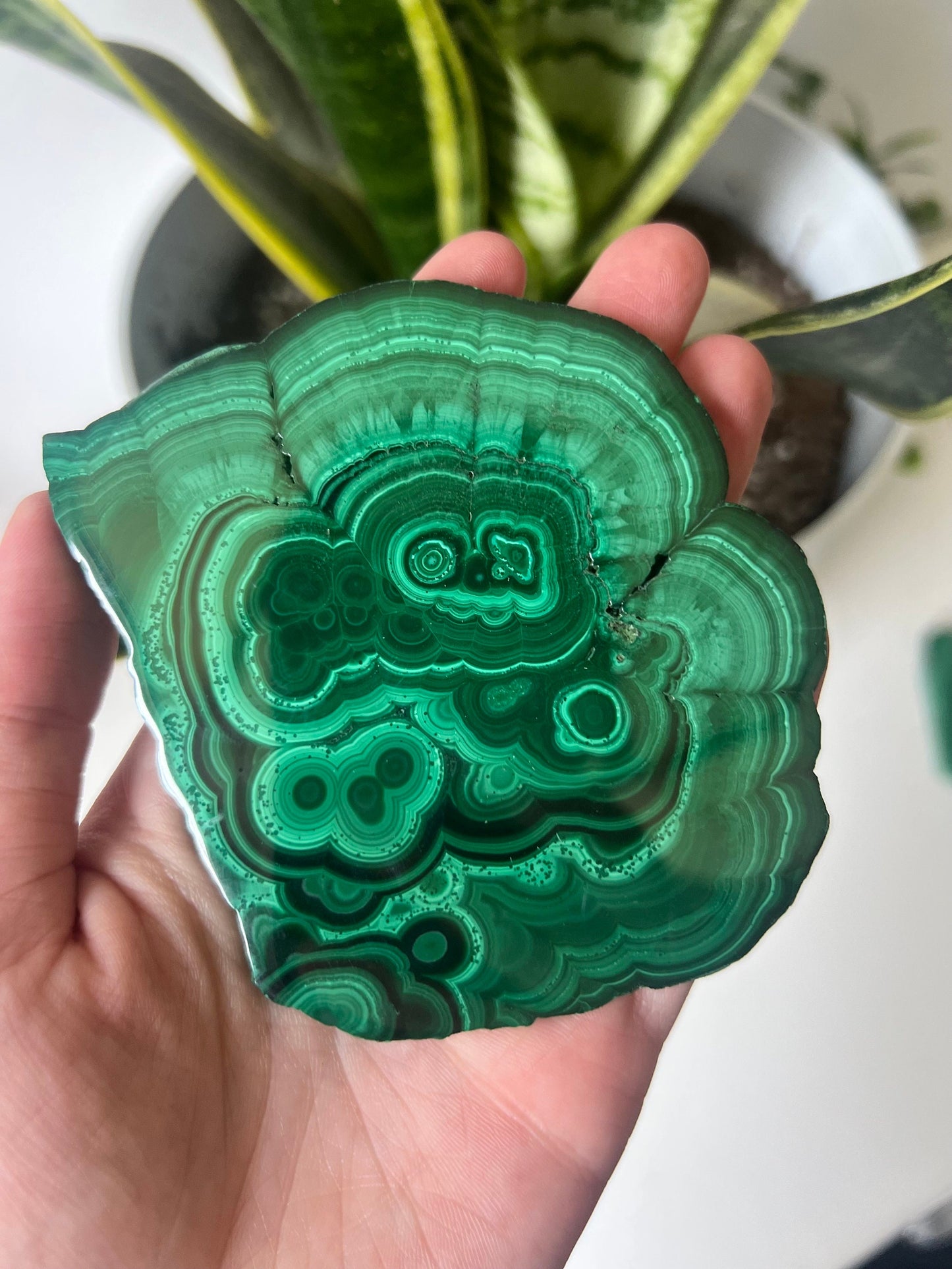 Gorgeous Malachite Mini Slab | Polished Banded Malachite Slice
