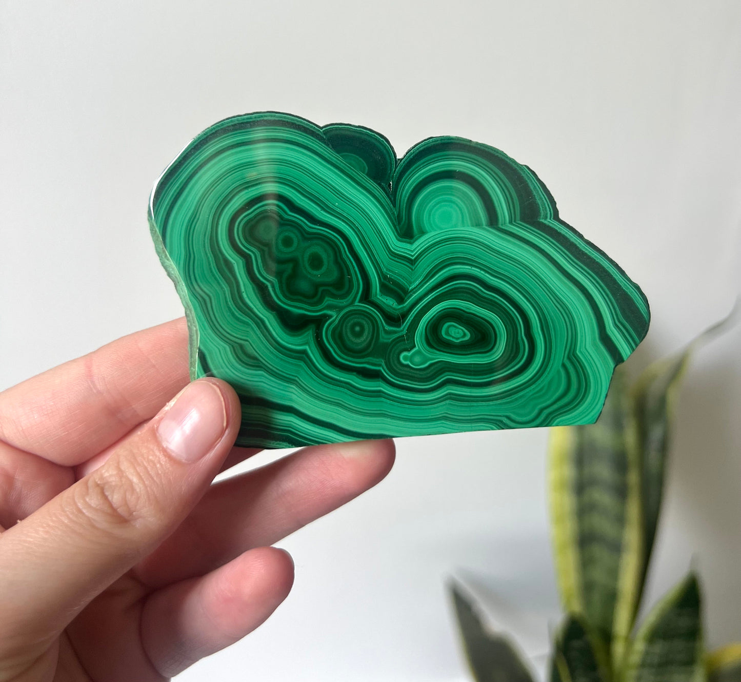 Gorgeous Malachite Mini Slab | Polished Banded Malachite Slice