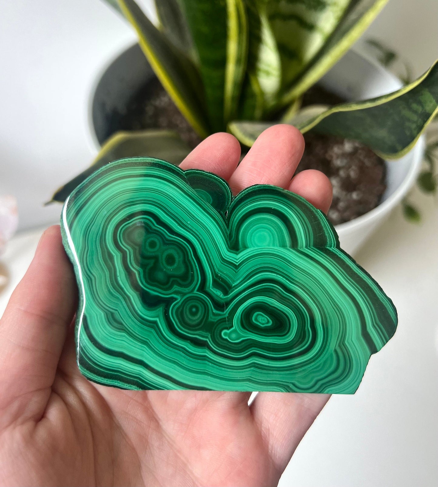 Gorgeous Malachite Mini Slab | Polished Banded Malachite Slice