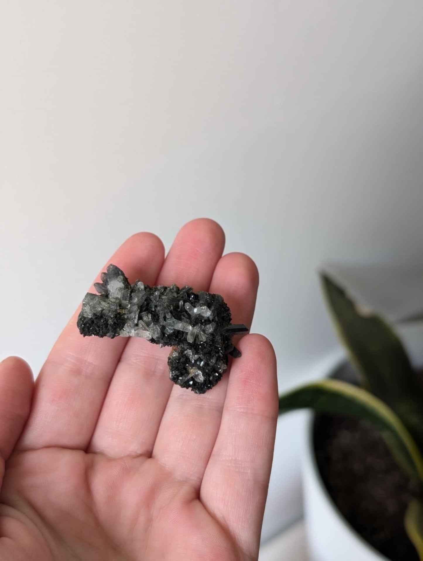 Gorgeous Epidote on Quartz Specimen Cluster