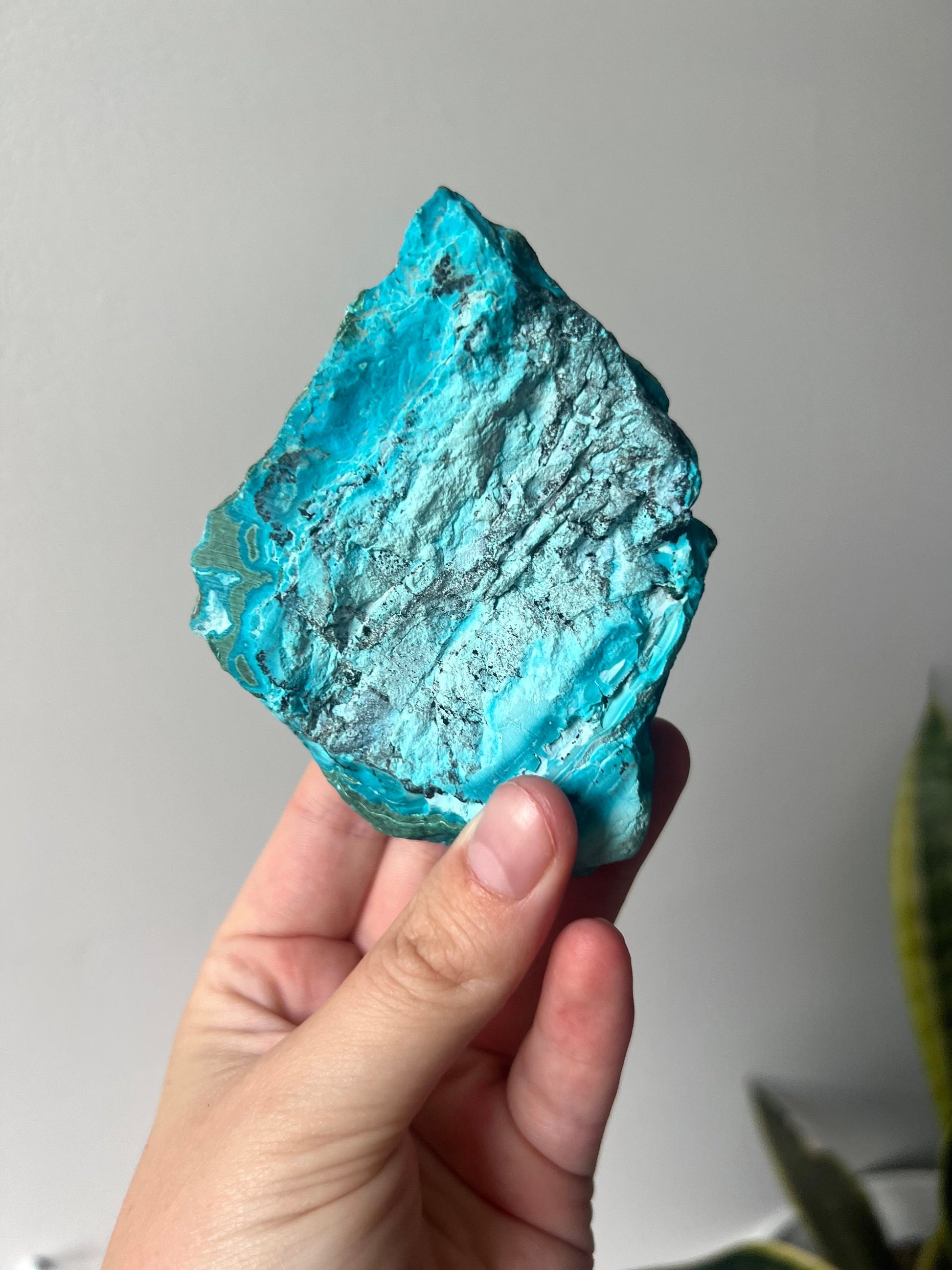 Gorgeous Chrysocolla Malachite Semi-Polished Specimen | Malachola Specimen Raw Semi Polished