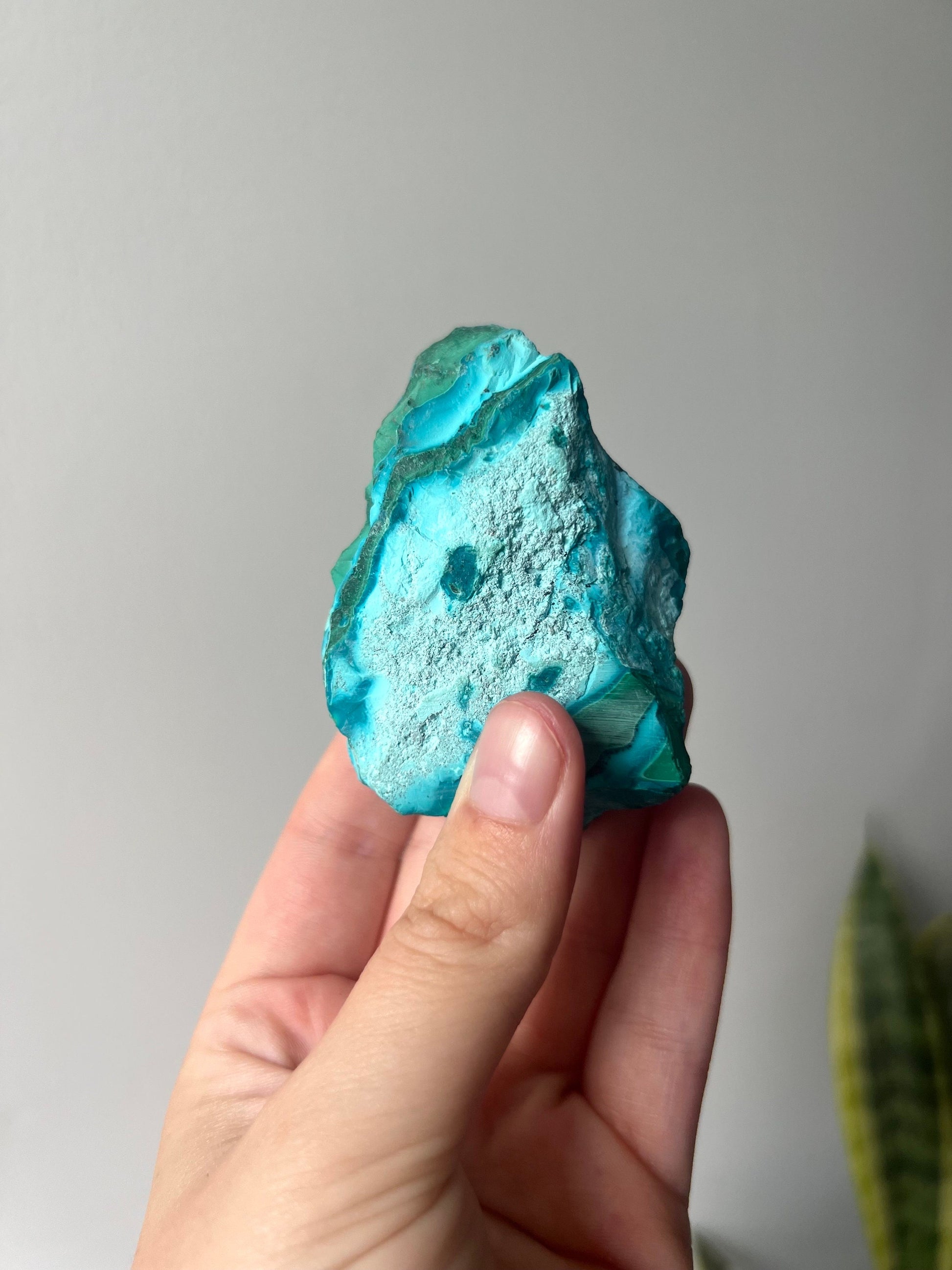 Gorgeous Chrysocolla Malachite Semi-Polished Specimen | Malachola Specimen Raw Semi Polished