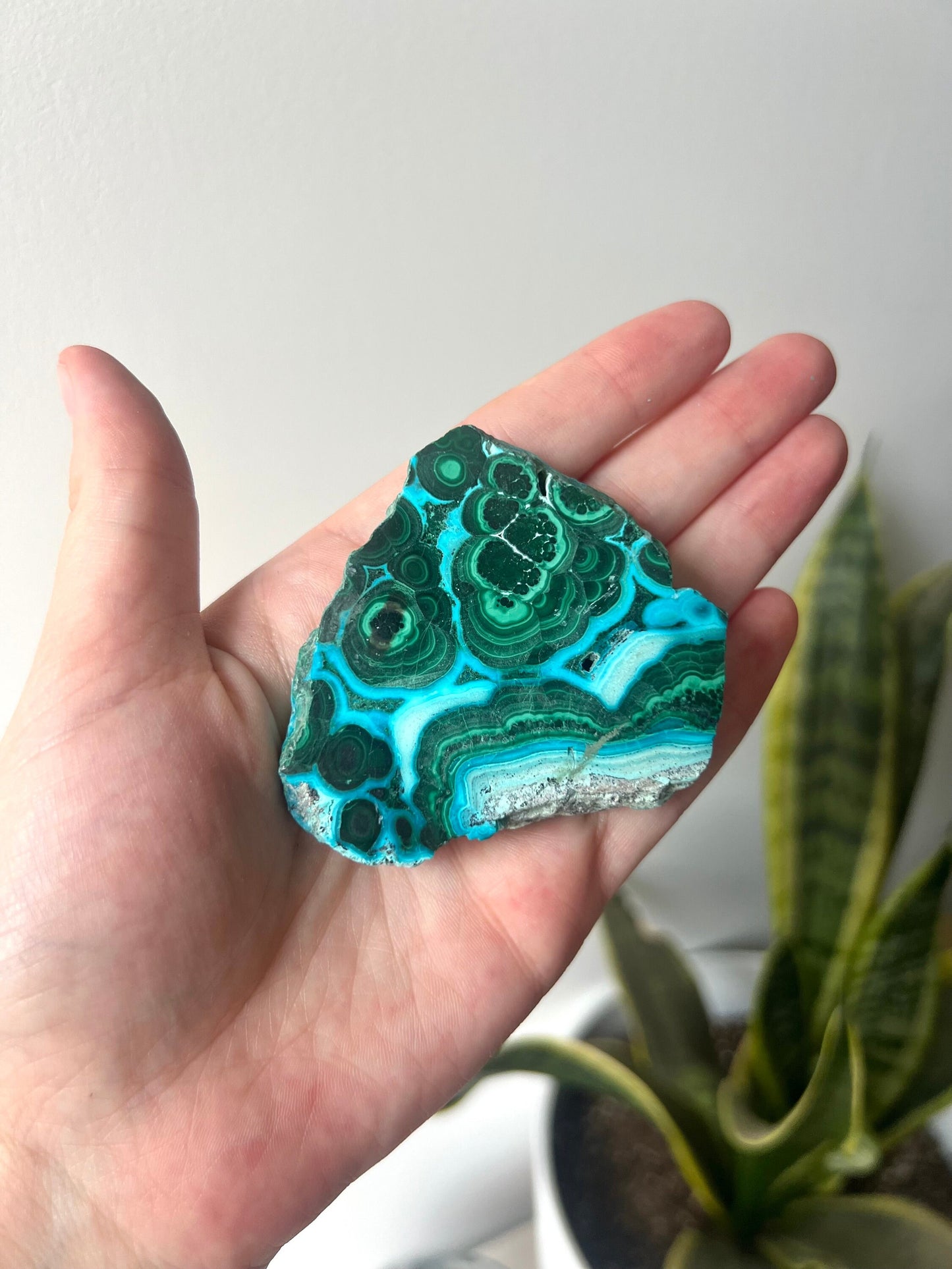 Gorgeous Malachite on Chrysocolla Mini Slab | Malachola Chrysocolla Malachite Slice