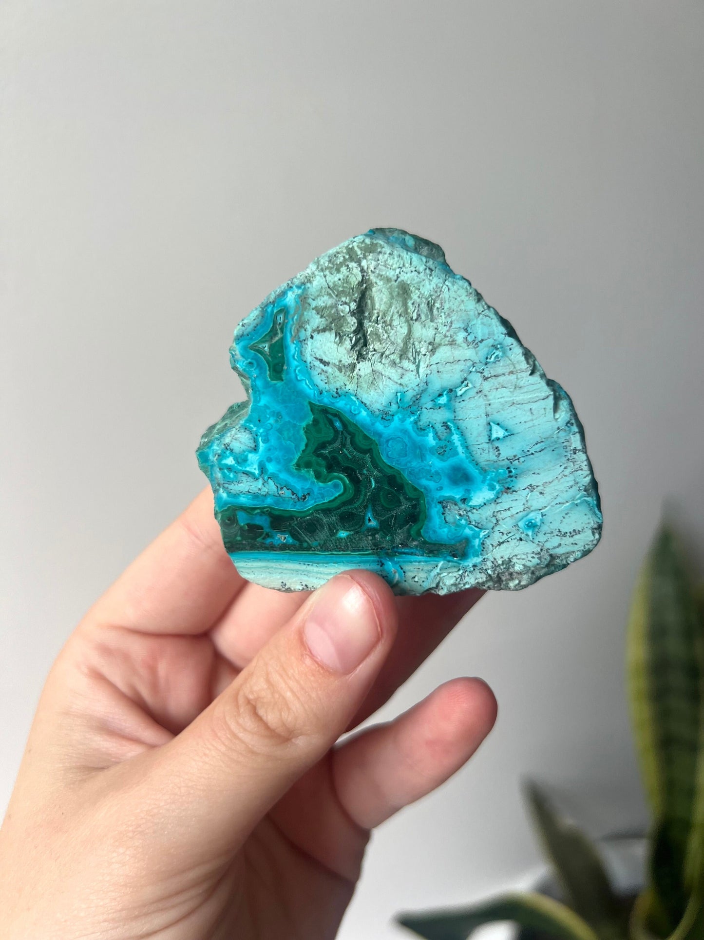 Gorgeous Malachite on Chrysocolla Mini Slab | Malachola Chrysocolla Malachite Slice
