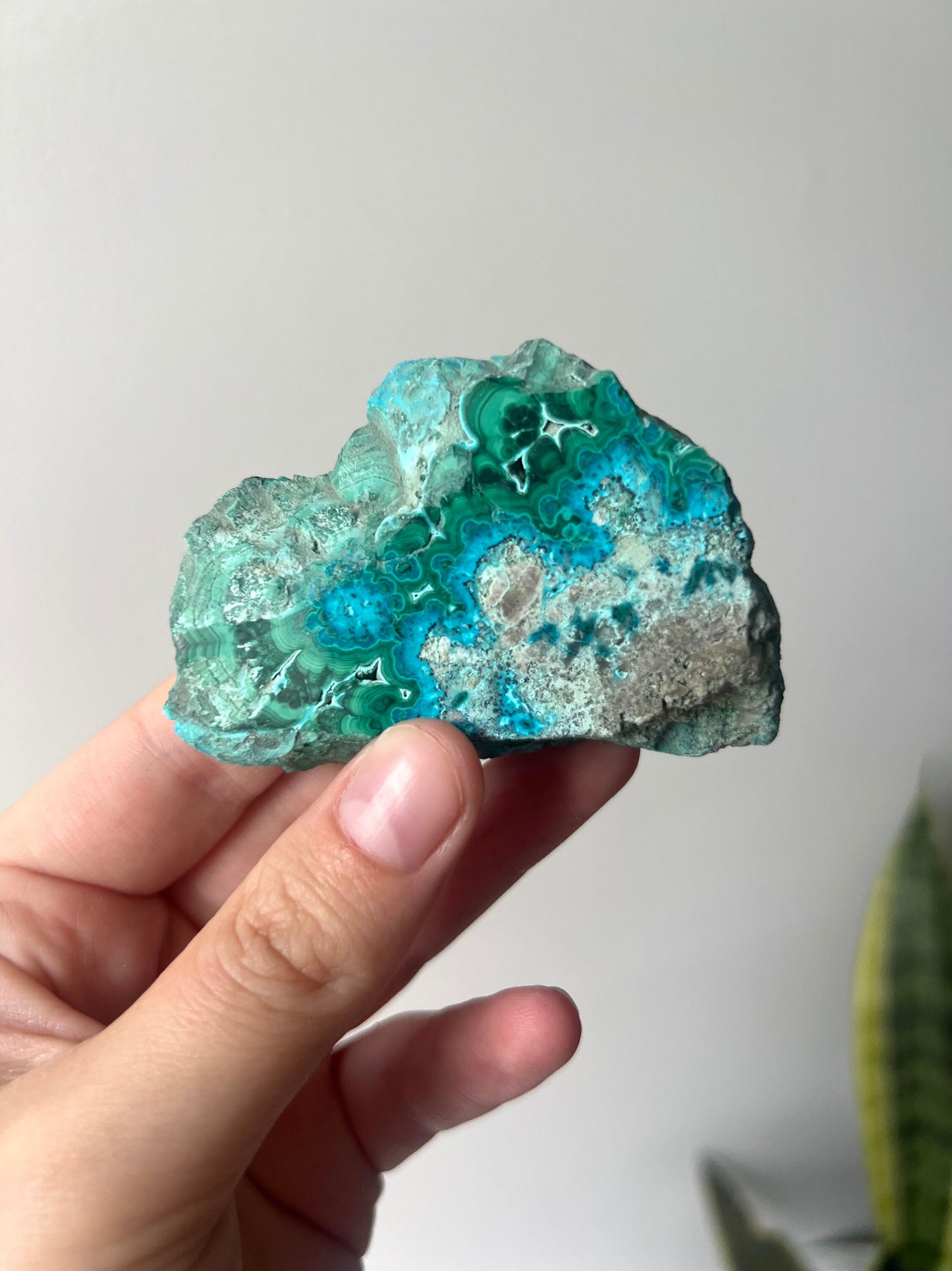 Gorgeous Malachite on Chrysocolla Mini Slab | Malachola Chrysocolla Malachite Slice
