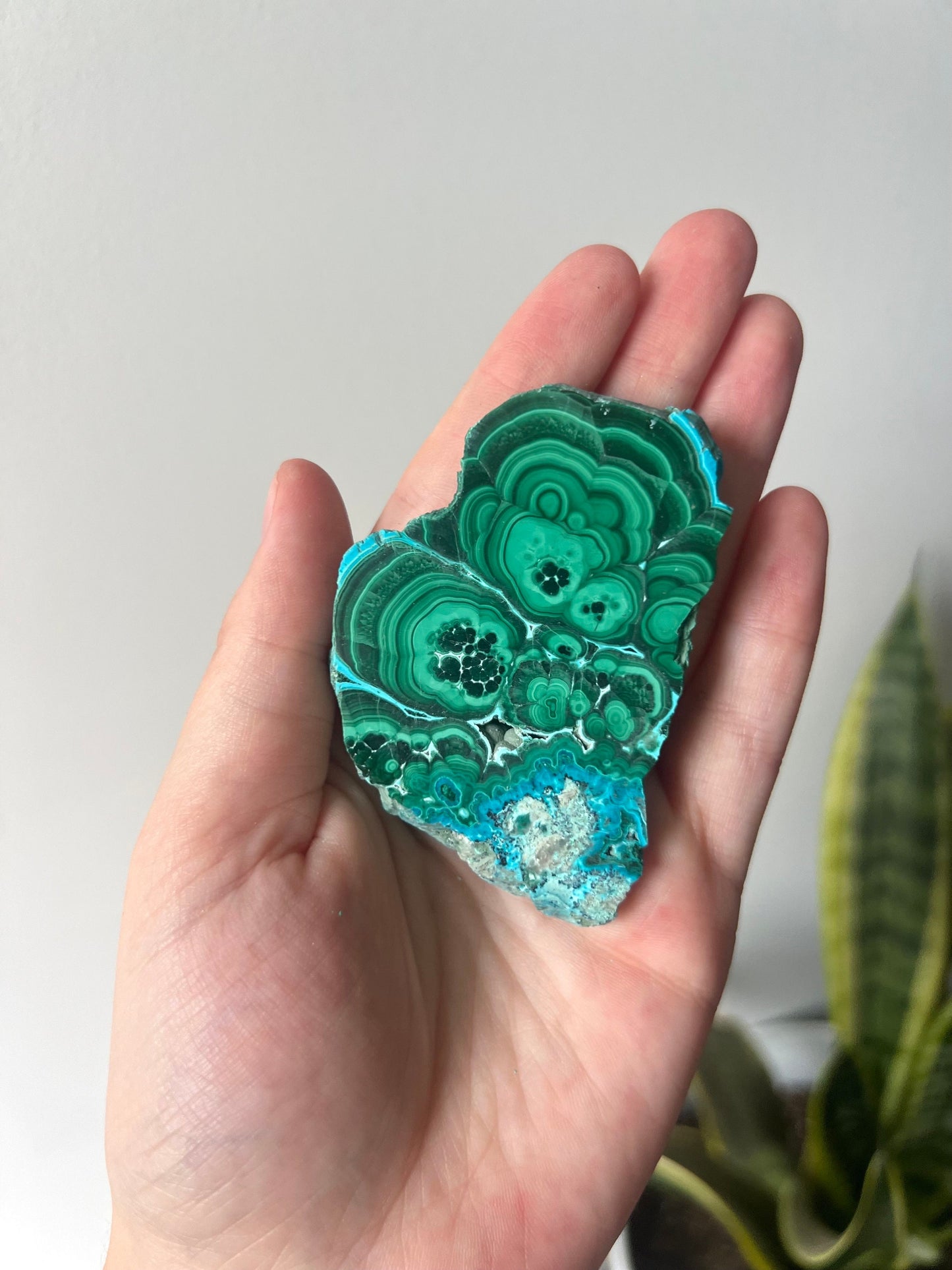 Gorgeous Malachite on Chrysocolla Mini Slab | Malachola Chrysocolla Malachite Slice