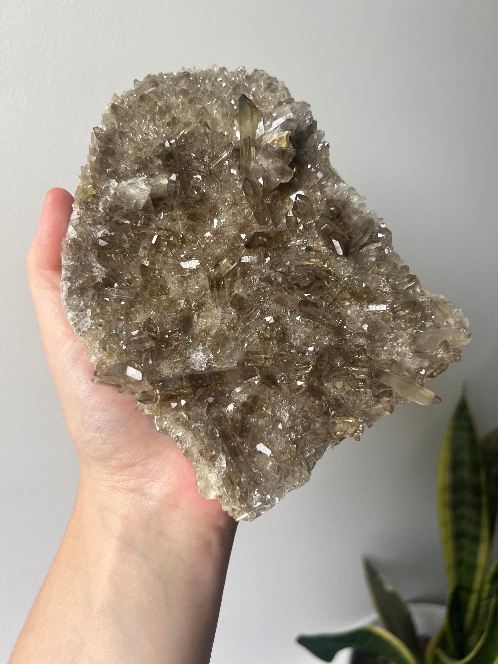 STUNNING Smoky Quartz Cluster with Small Points | Coffee Table Smoky Quartz Slab
