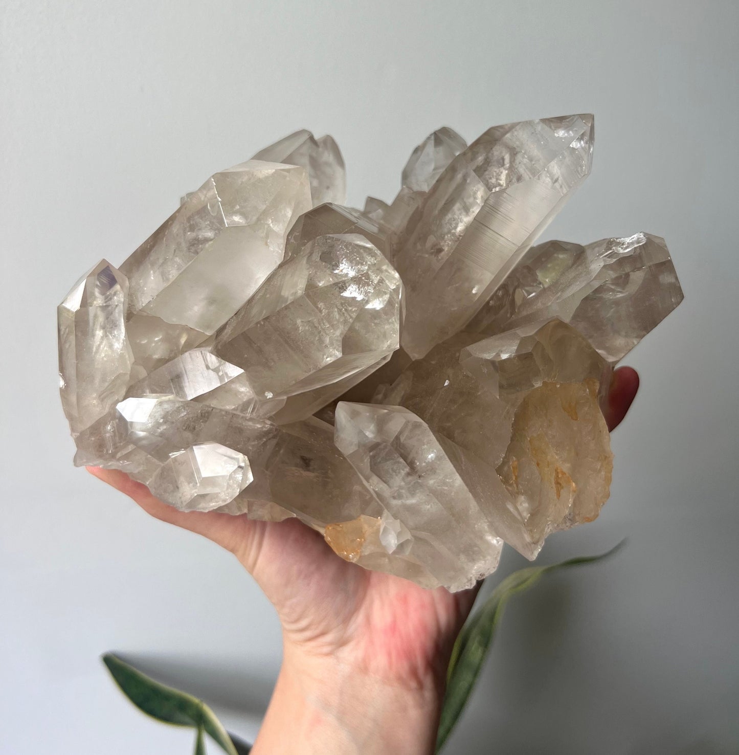 Stunning Large Smoky Lemurian Quartz Cluster from Brazil (2.704kg)