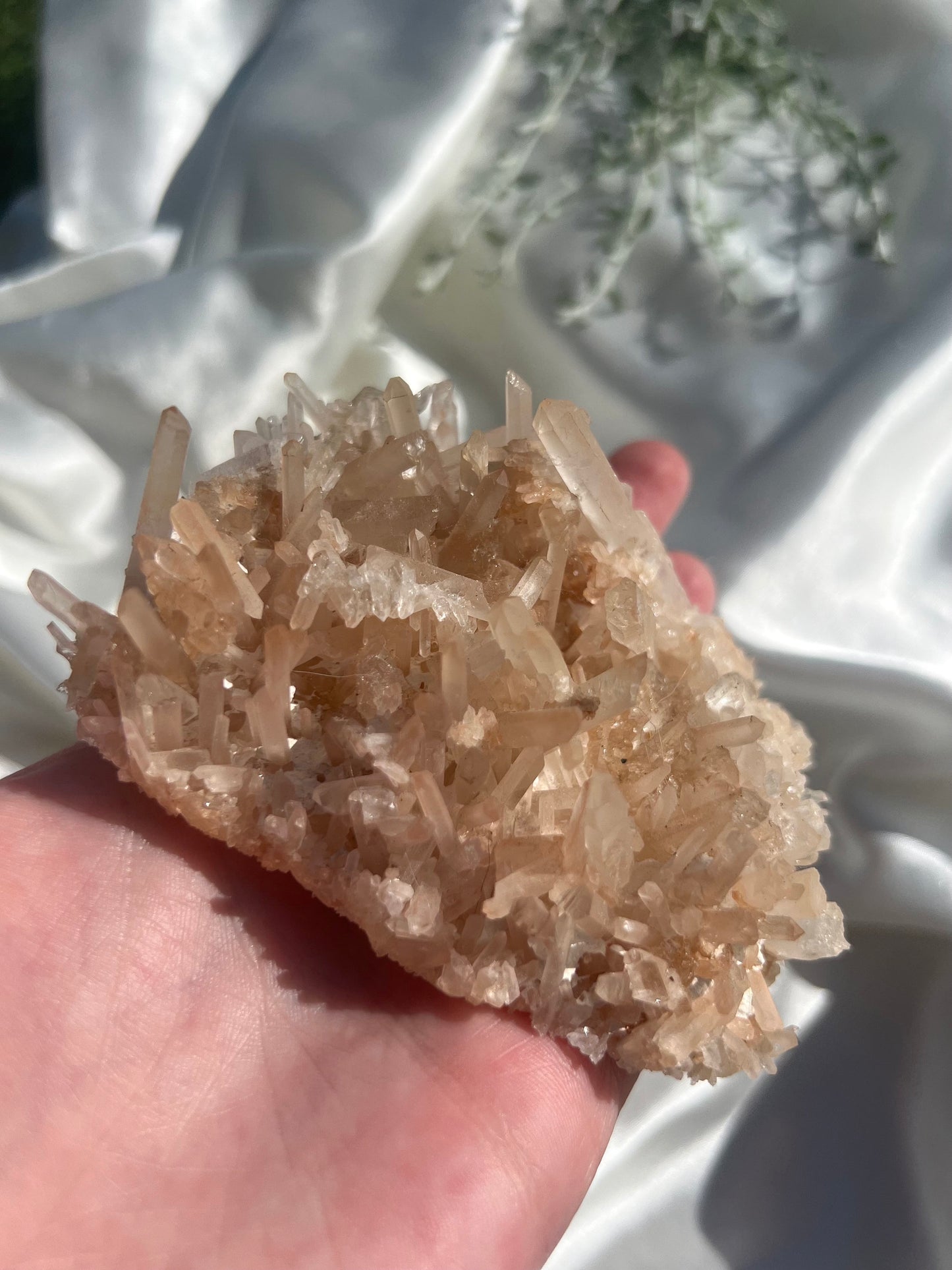 Beautiful Milky Quartz Point Cluster | Laser Point Quartz Specimen Needle Point Quartz