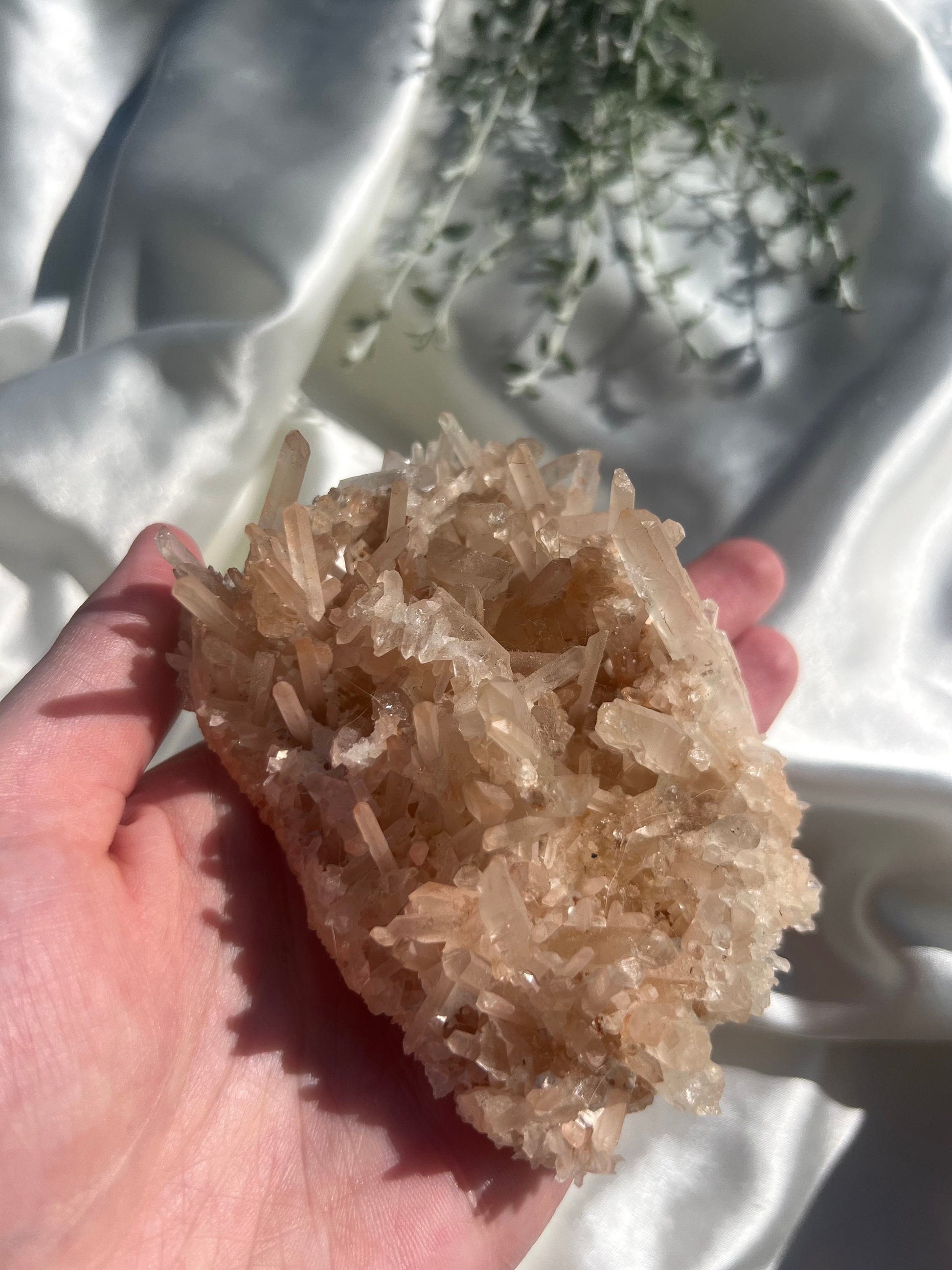 Beautiful Milky Quartz Point Cluster | Laser Point Quartz Specimen Needle Point Quartz