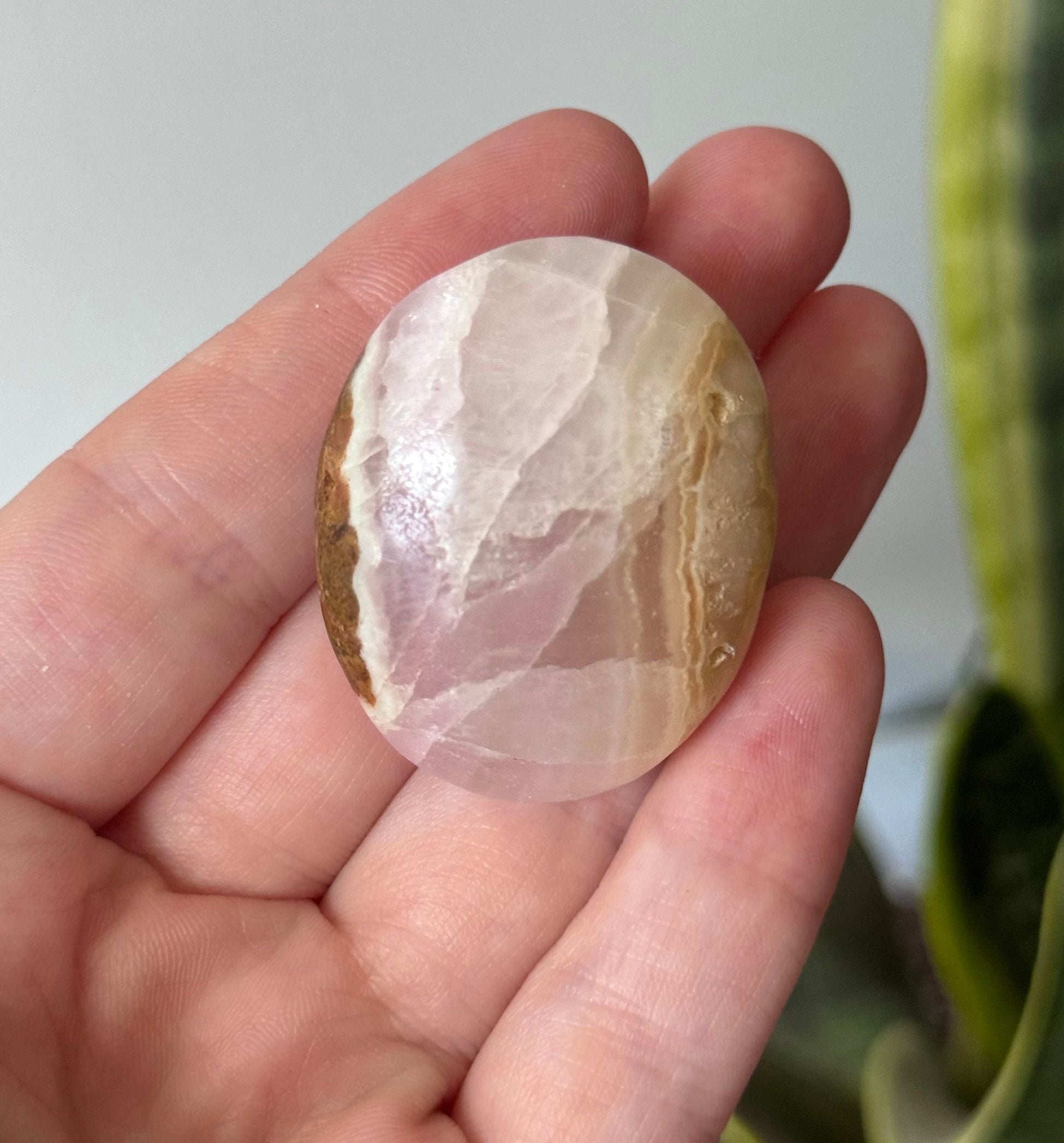 Beautiful Small Pink Aragonite Palm Stone From Pakistan