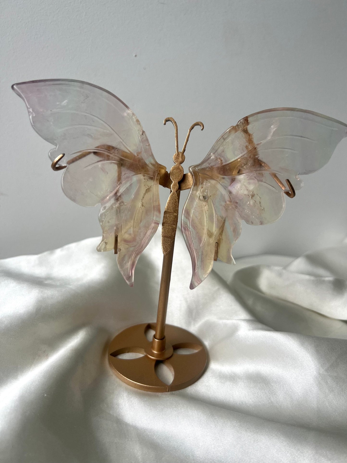 Gorgeous Transluscent Candy Fluorite Butterfly Wings with Display