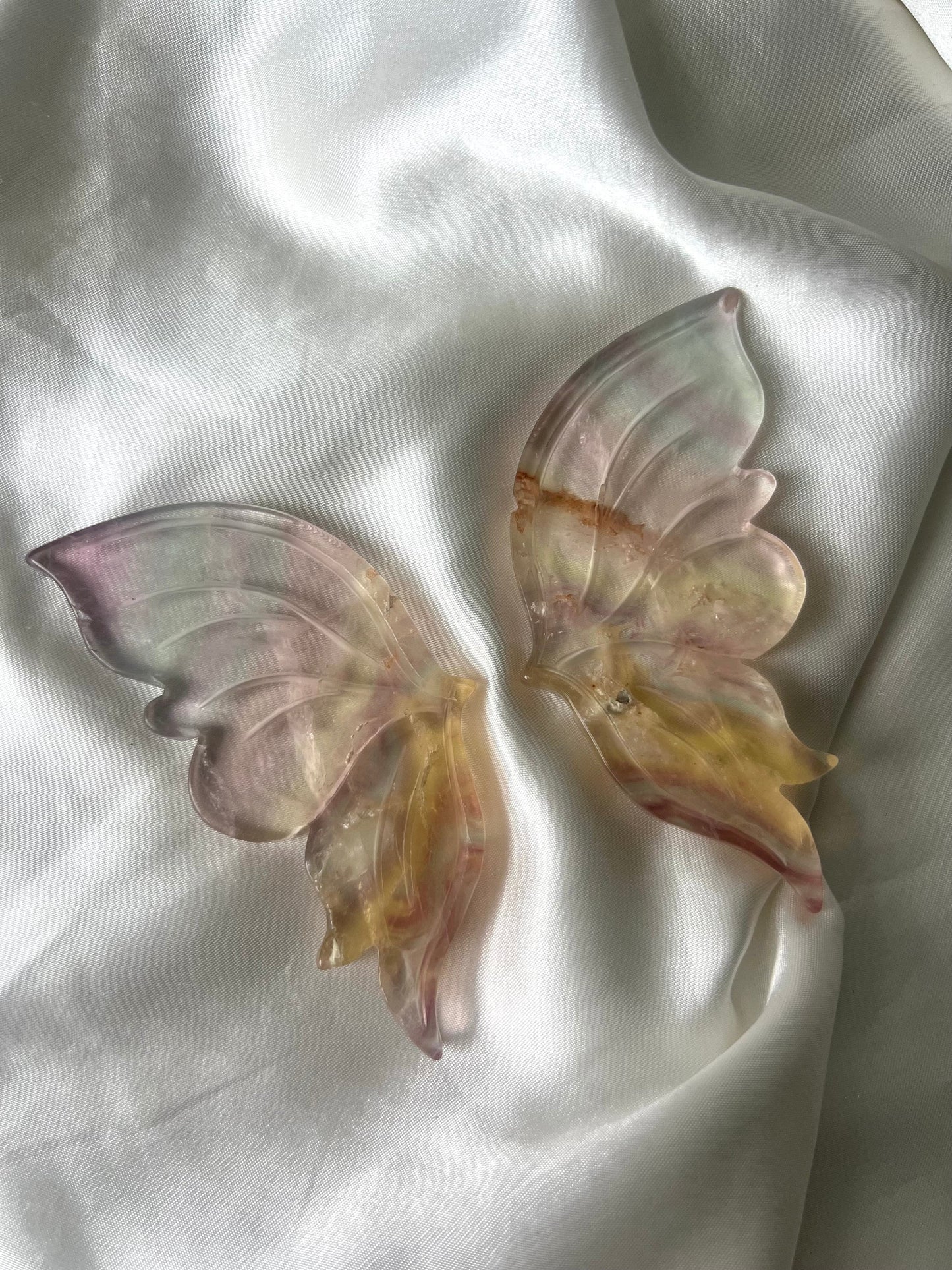 Gorgeous Transluscent Candy Fluorite Butterfly Wings with Display