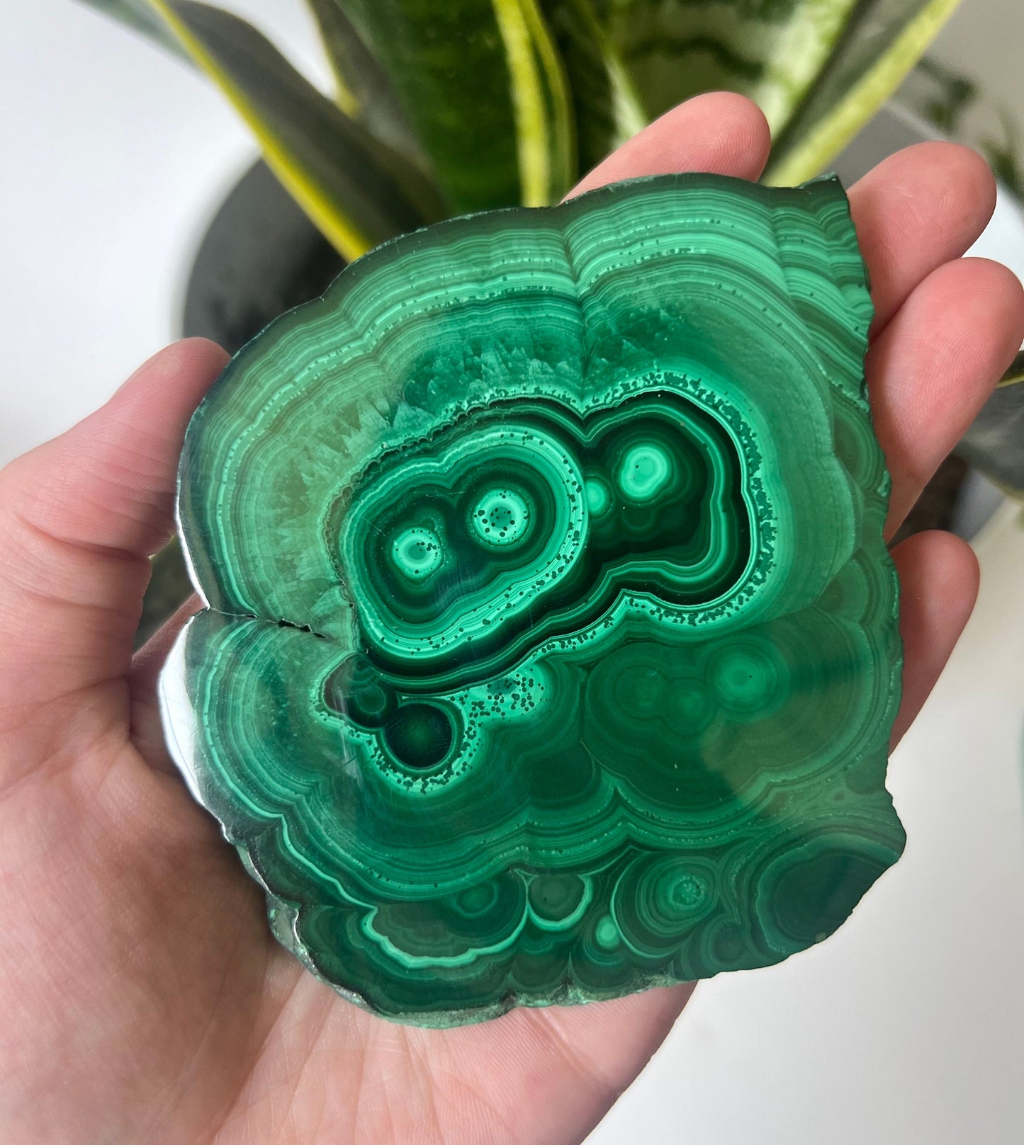 Gorgeous Malachite Mini Slab | Polished Banded Malachite Slice
