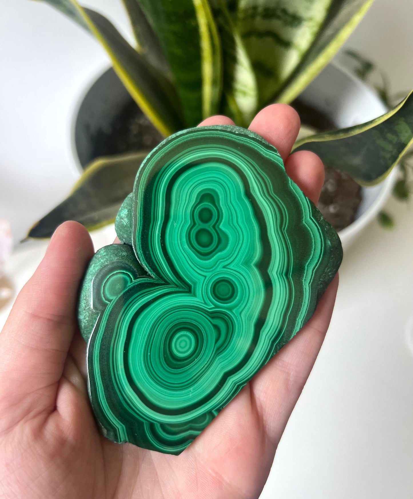 Gorgeous Malachite Mini Slab | Polished Banded Malachite Slice
