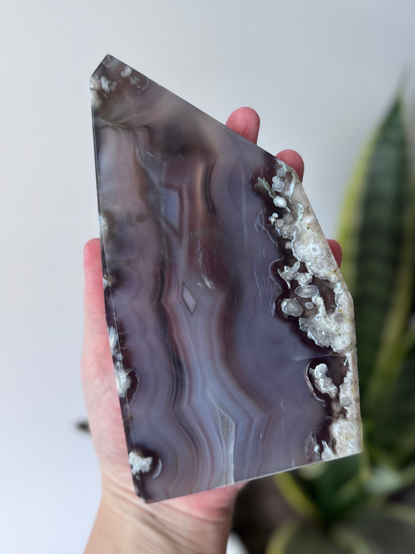 High Quality Blue Flower Agate Slab | AAA Blue and Black Flower Agate Slice