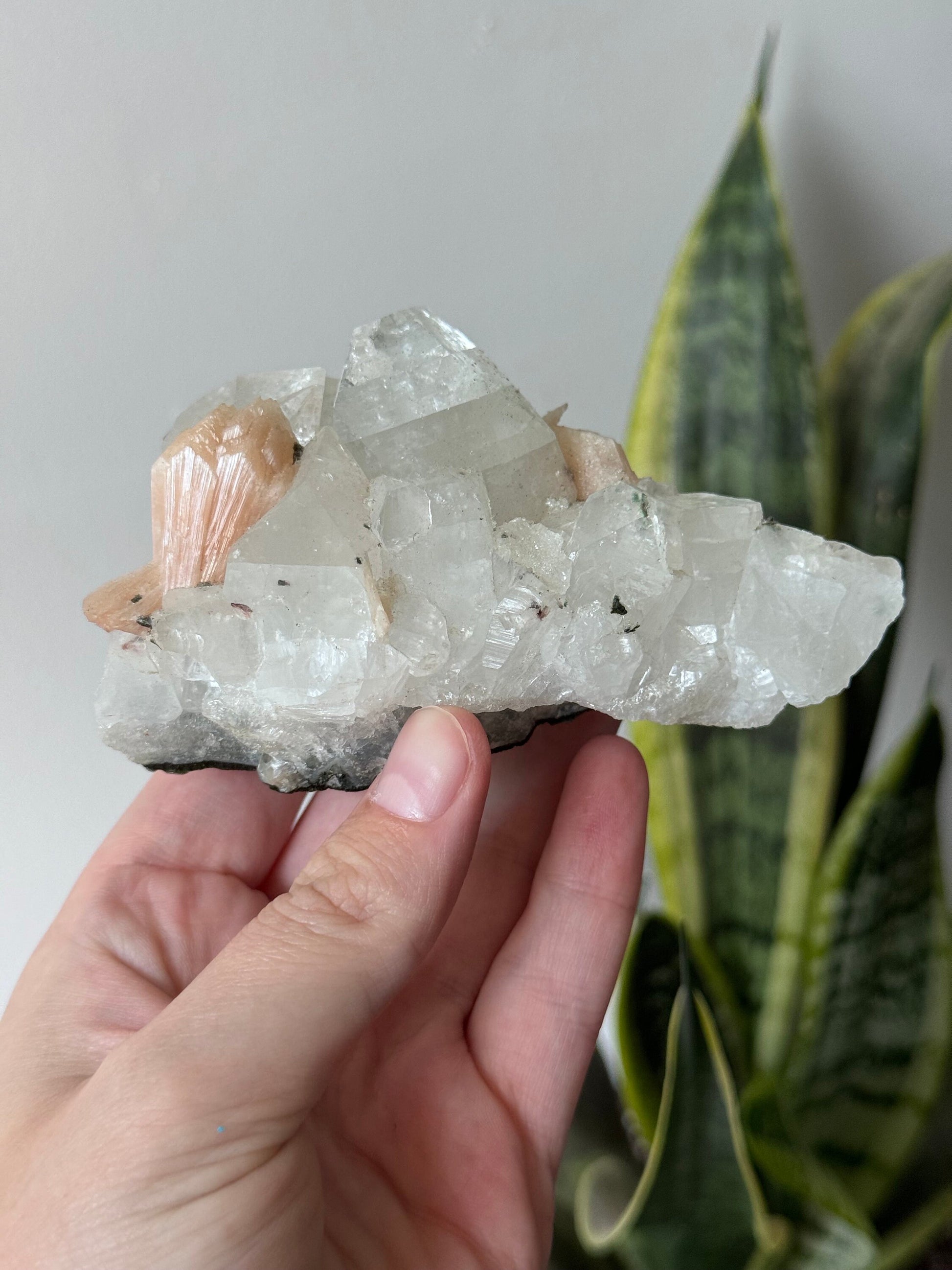 Apophyllite with Stilbite Cluster Raw Apophyllite with Stilbite Specimen