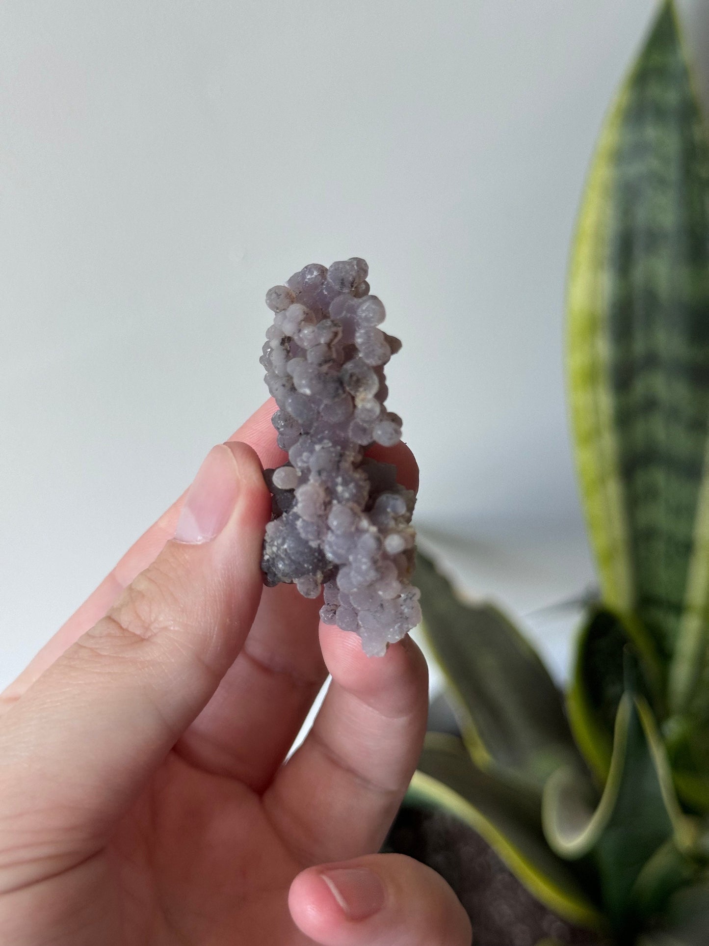 Stunning Raw Grape Agate Specimen from Indonesia
