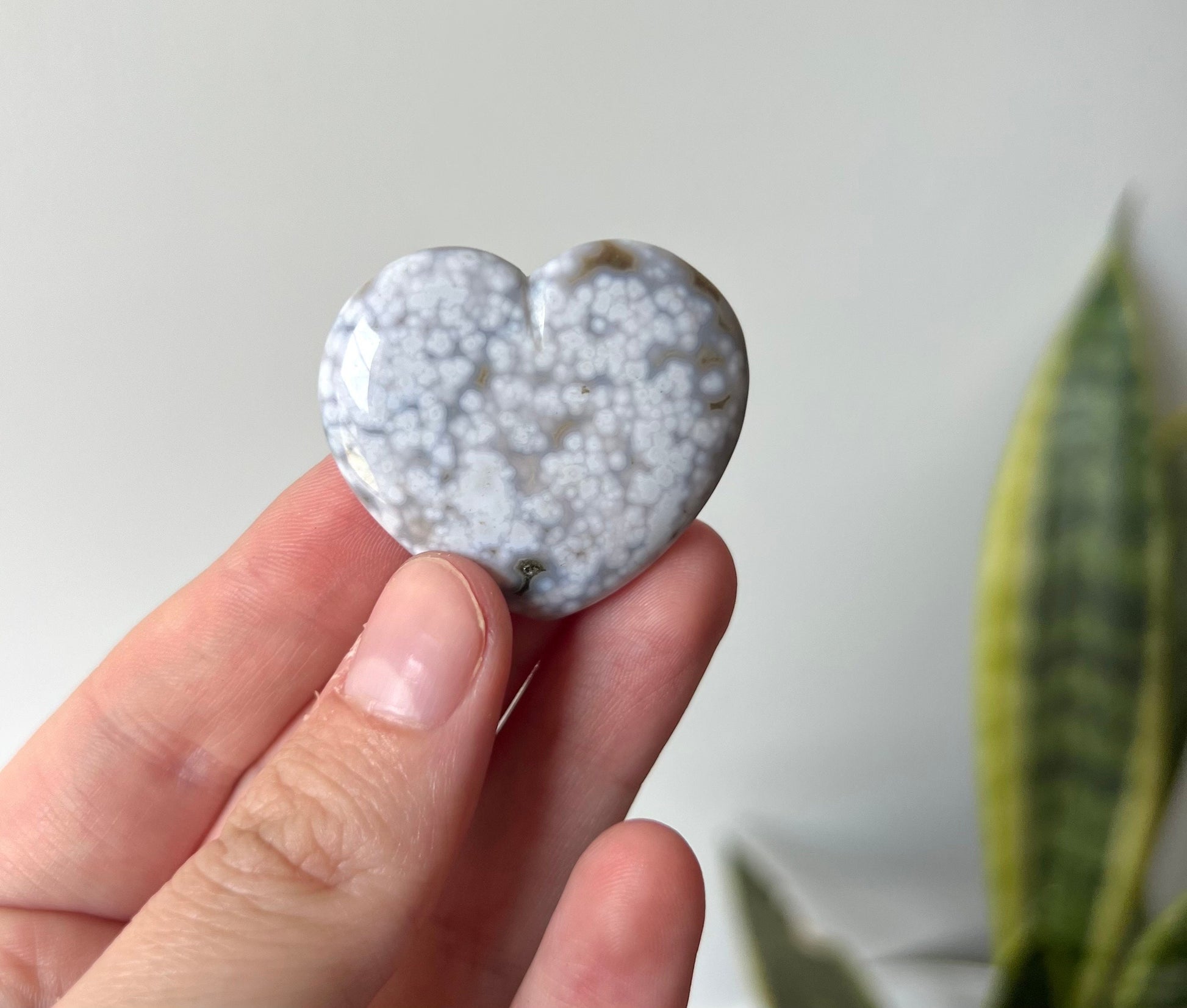 Gorgeous Veinless Ocean Jasper Heart Carving from Madagascar | Orbicular Jasper