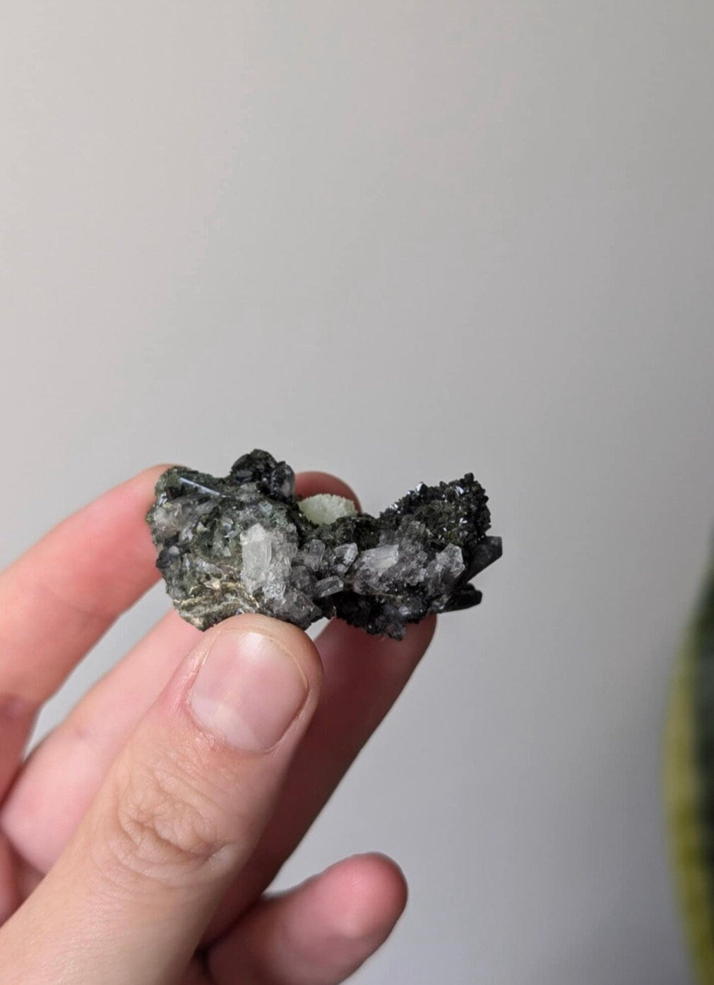 Gorgeous Epidote on Quartz Specimen Cluster