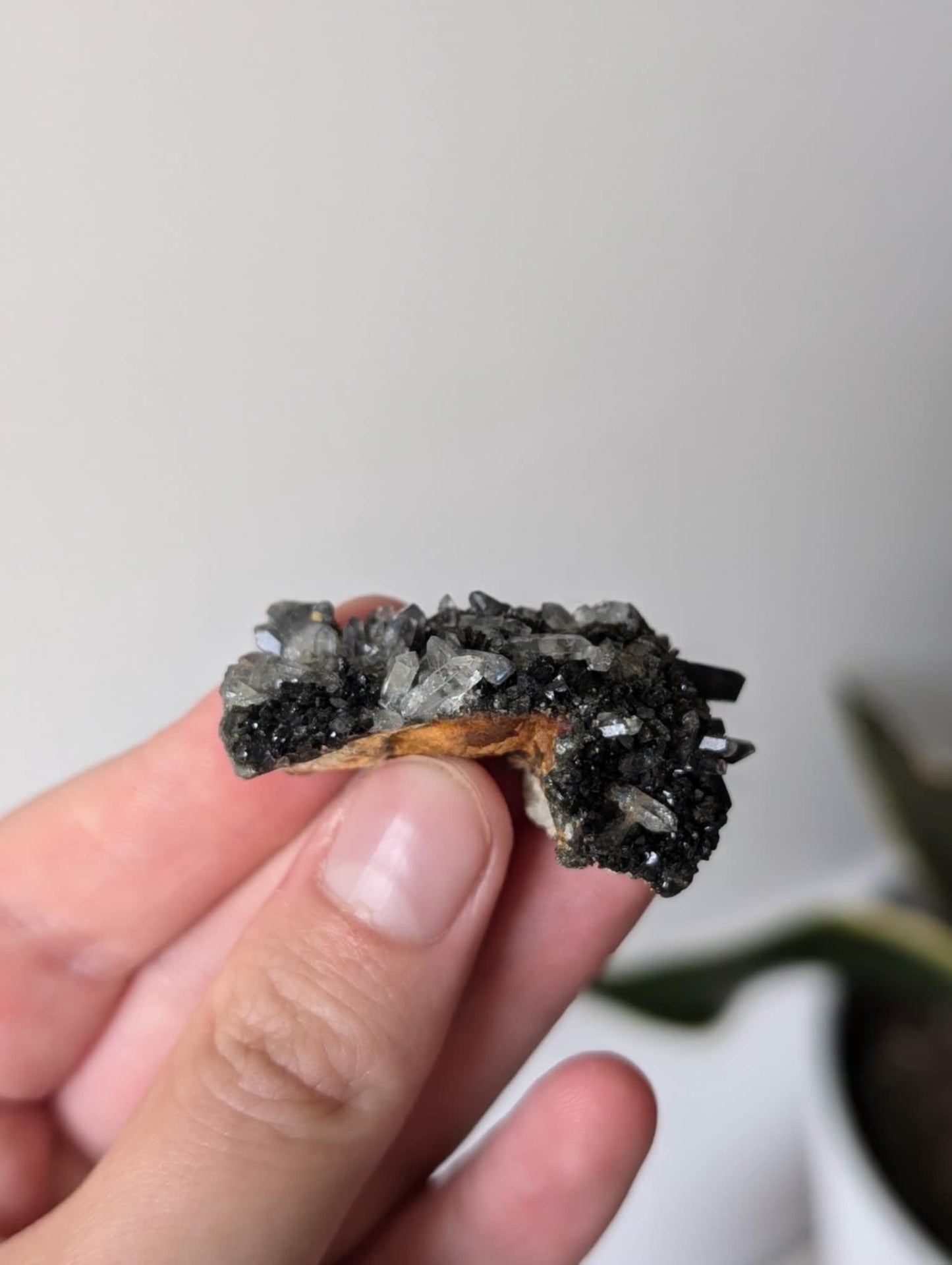 Gorgeous Epidote on Quartz Specimen Cluster