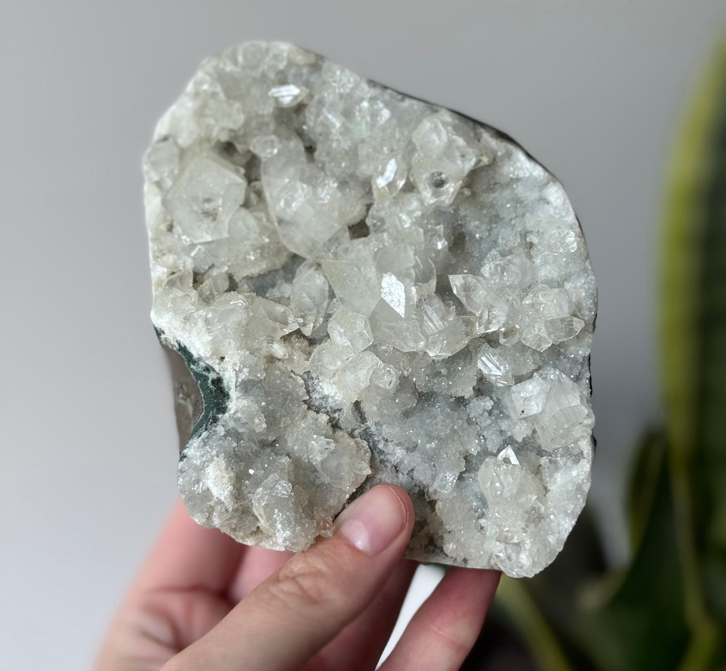 Gorgeous Raw Apophyllite on Chalcedony Cluster from India