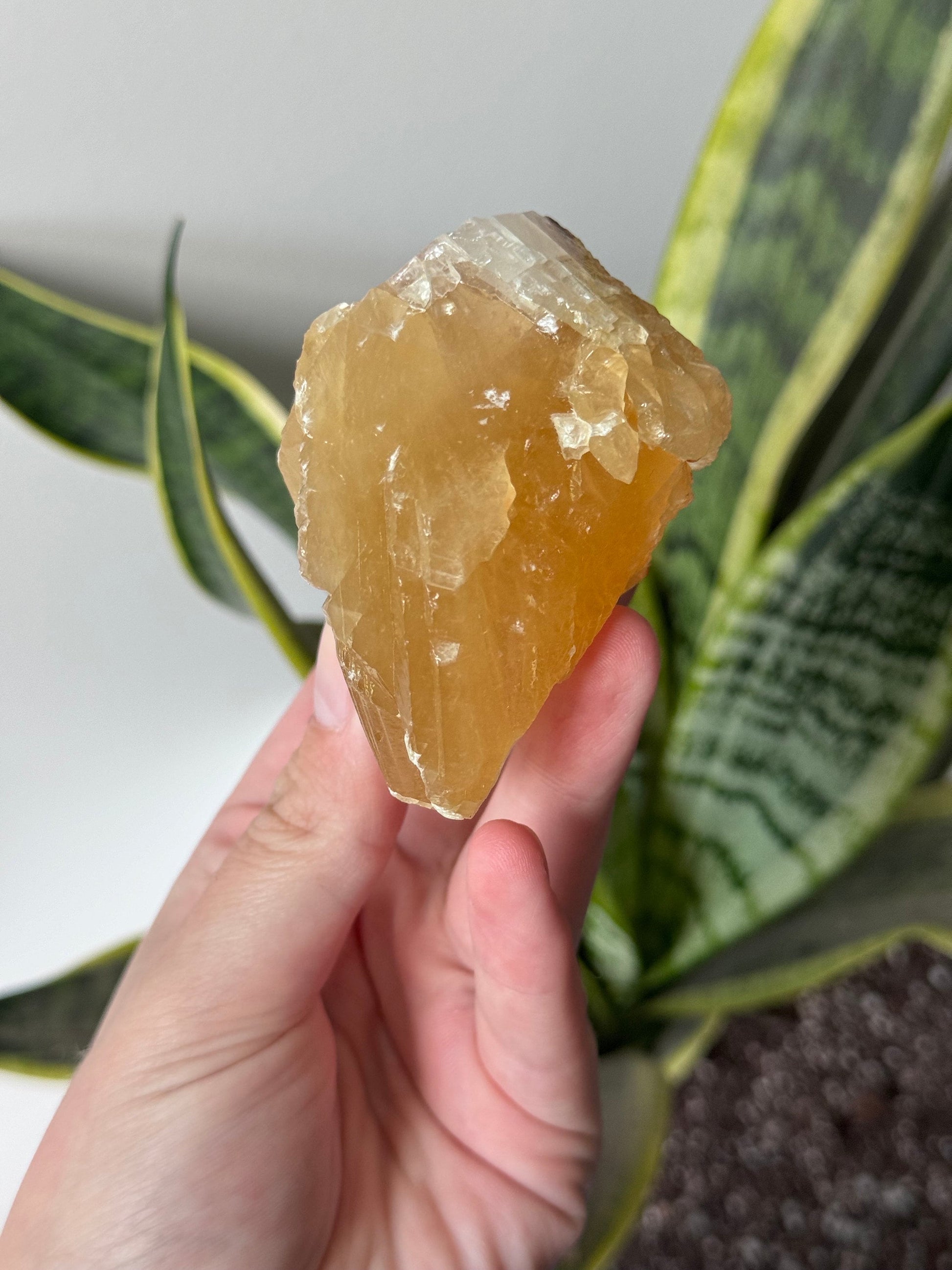 Beautiful Raw Honey Calcite Chunk from Mexico | Honey Calcite Specimen