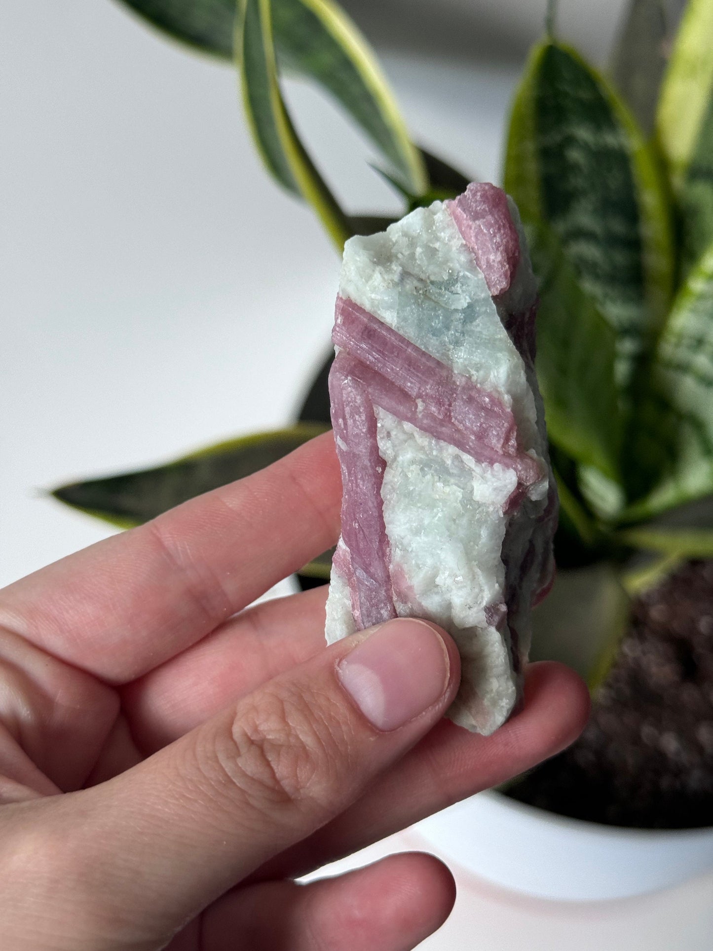 Gorgeous Pink Tourmaline on Albite with Aquamarine Specimen from Brazil