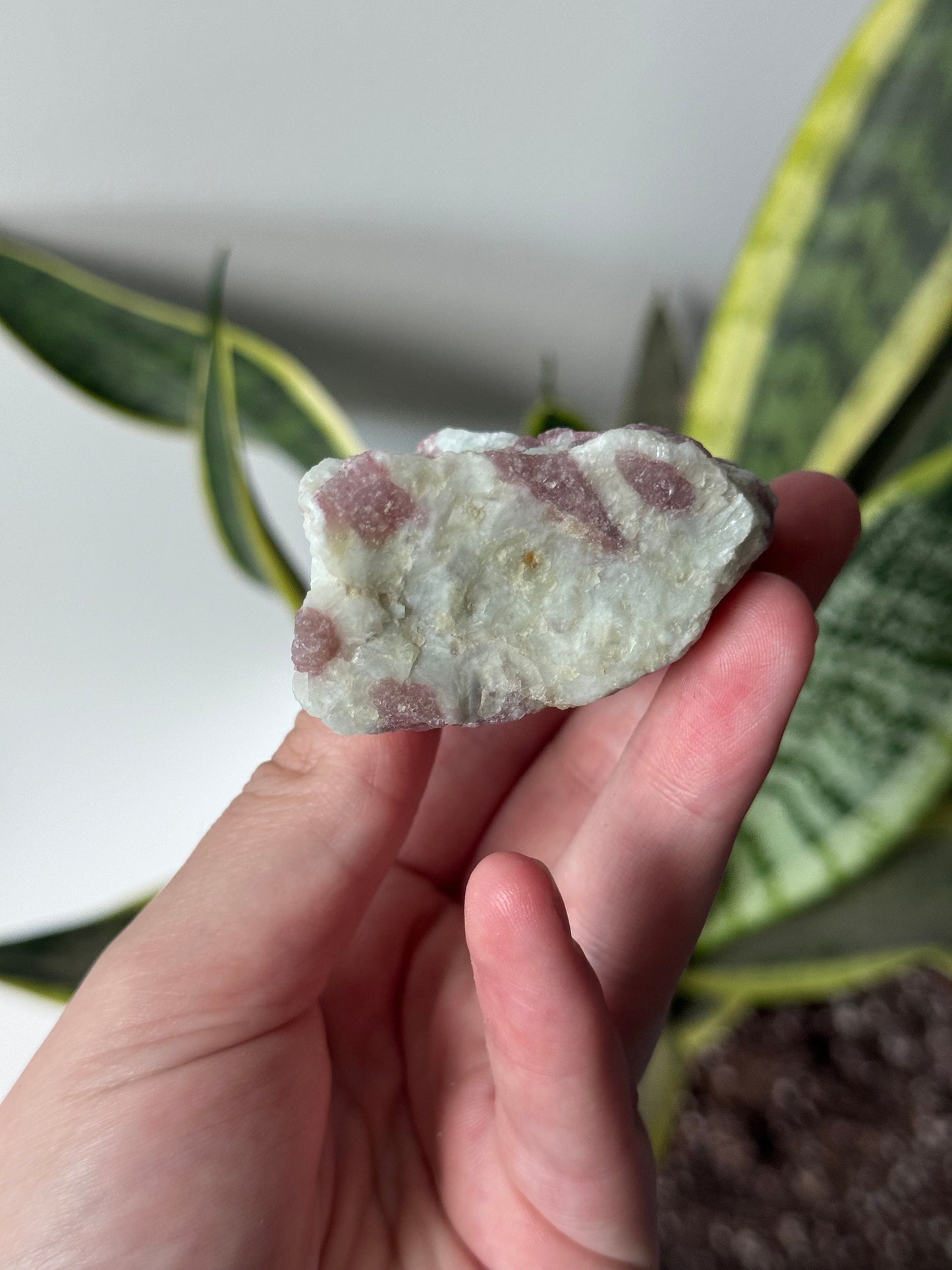 Gorgeous Pink Tourmaline on Albite with Aquamarine Specimen from Brazil