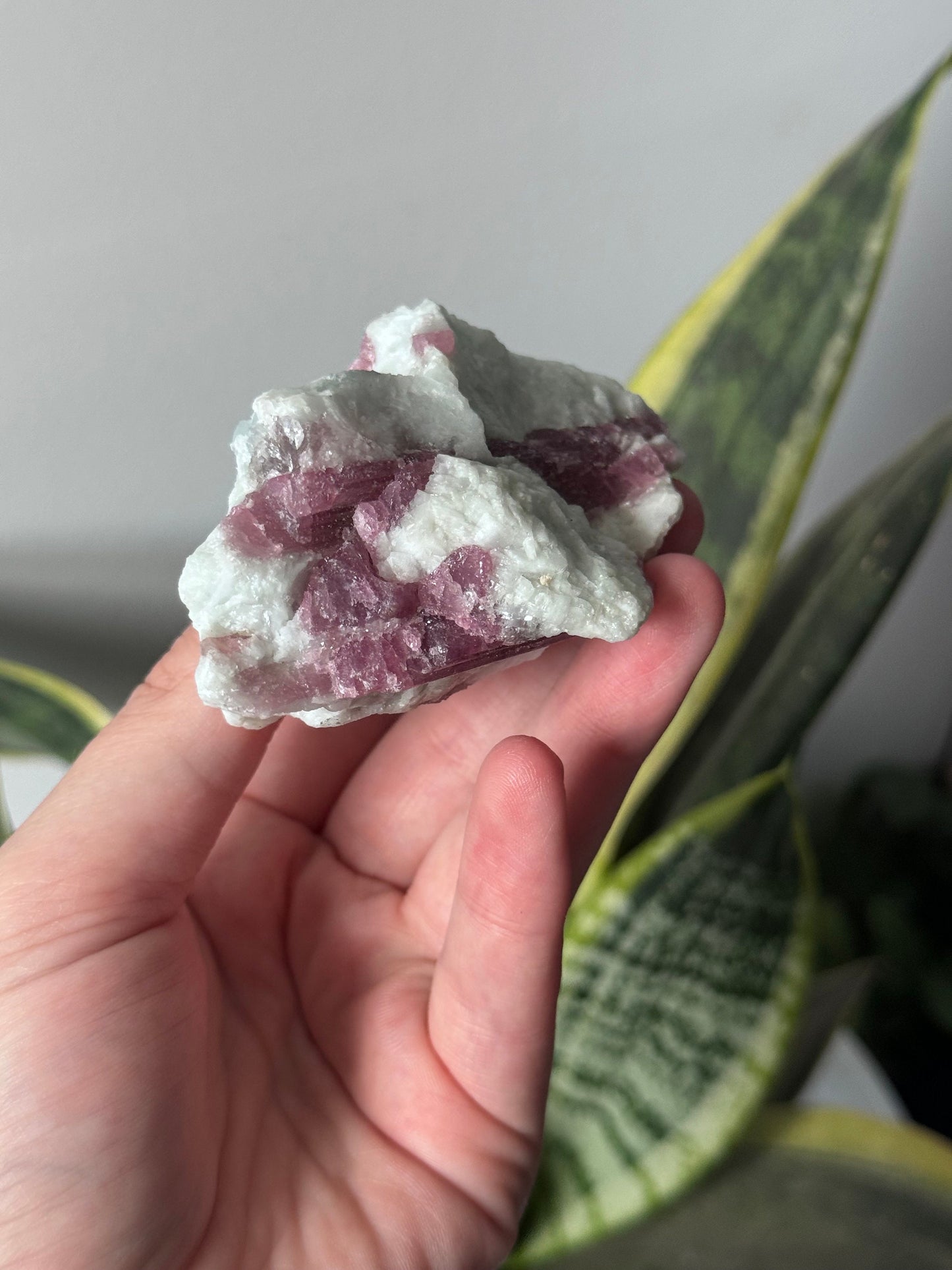 Gorgeous Pink Tourmaline on Albite with Aquamarine Specimen from Brazil