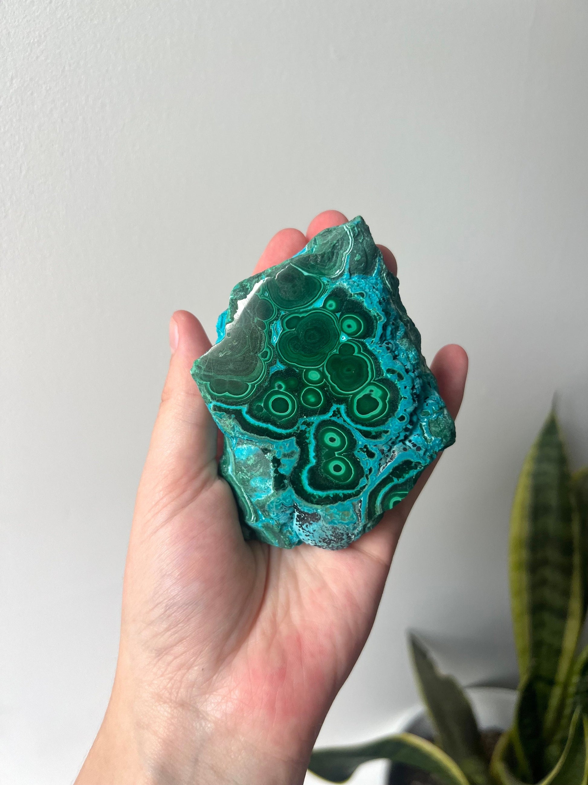 Gorgeous Chrysocolla Malachite Semi-Polished Specimen | Malachola Specimen Raw Semi Polished