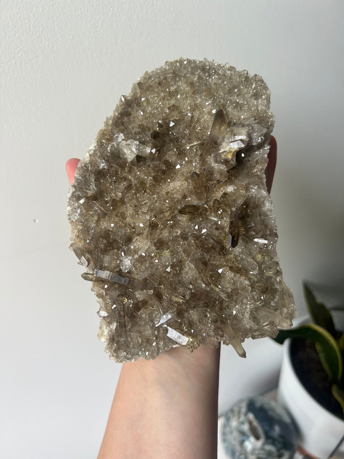 STUNNING Smoky Quartz Cluster with Small Points | Coffee Table Smoky Quartz Slab