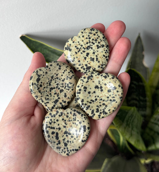 Beautiful Dalmatian Jasper Worry Stone Heart Carving | Touch Stone Pocket Stone Thumb Stone
