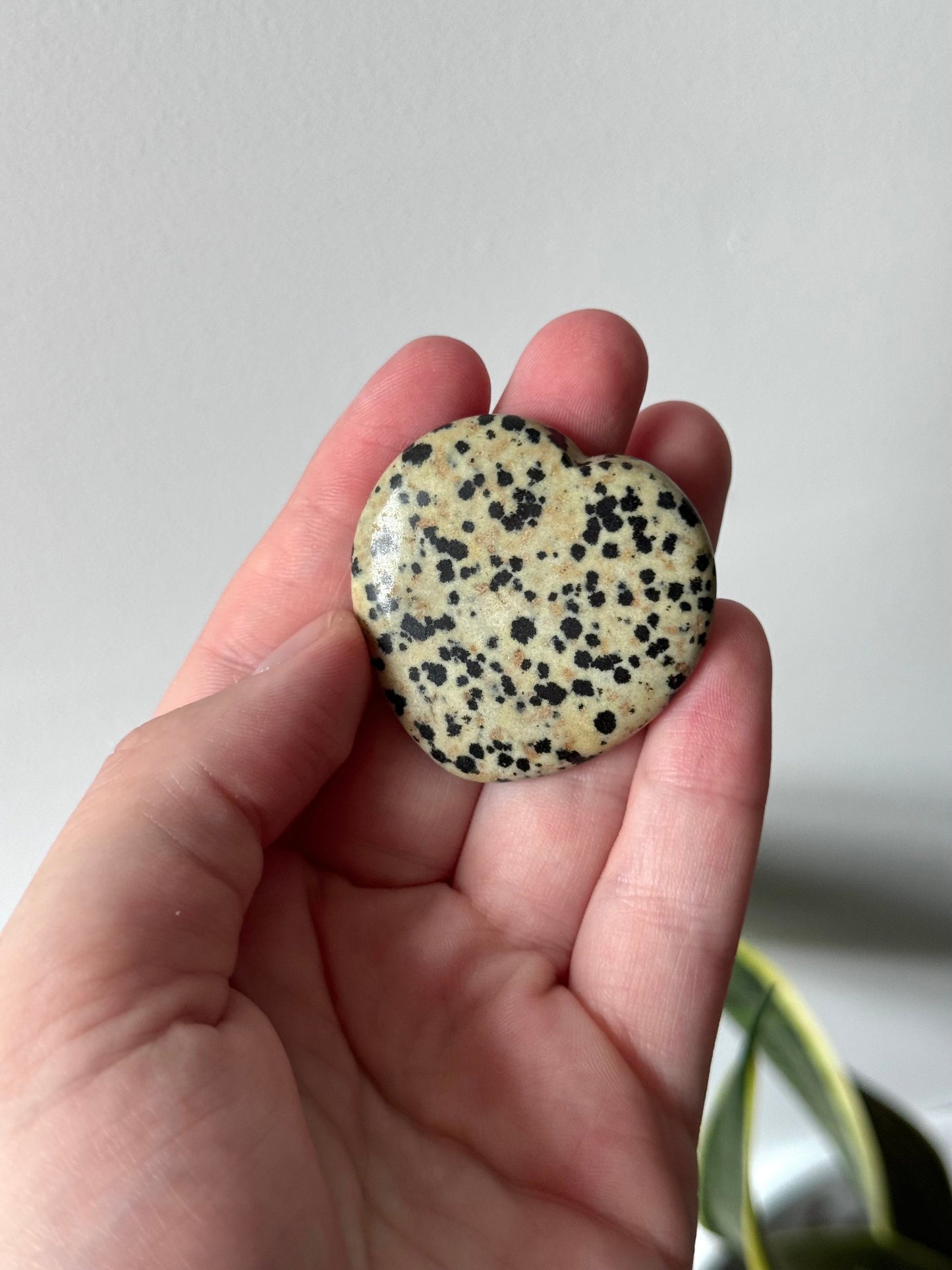 Beautiful Dalmatian Jasper Worry Stone Heart Carving | Touch Stone Pocket Stone Thumb Stone
