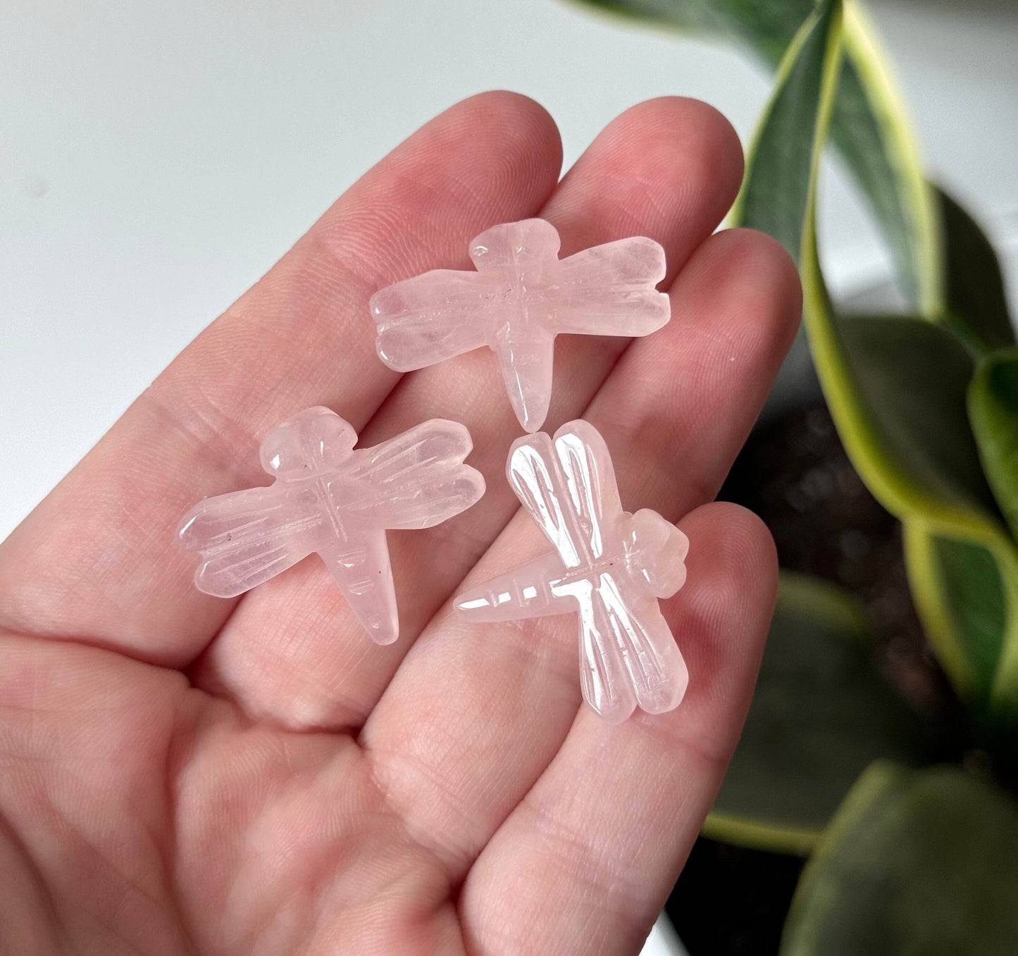 Gorgeous Mini Dragonfly Carvings Amazonite Rose Quartz Flower Agate Dragonflies